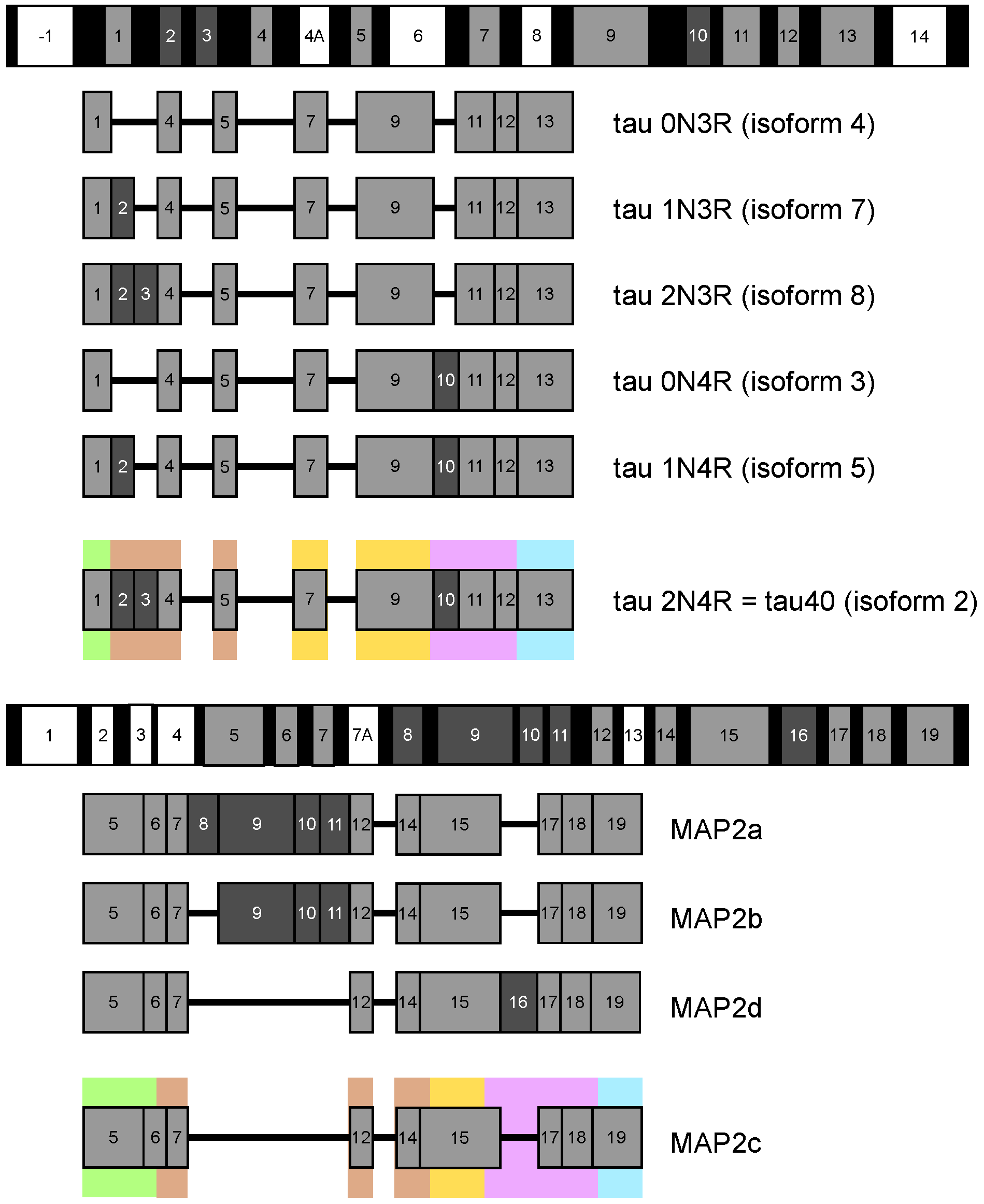 Biomolecules 09 00105 g001