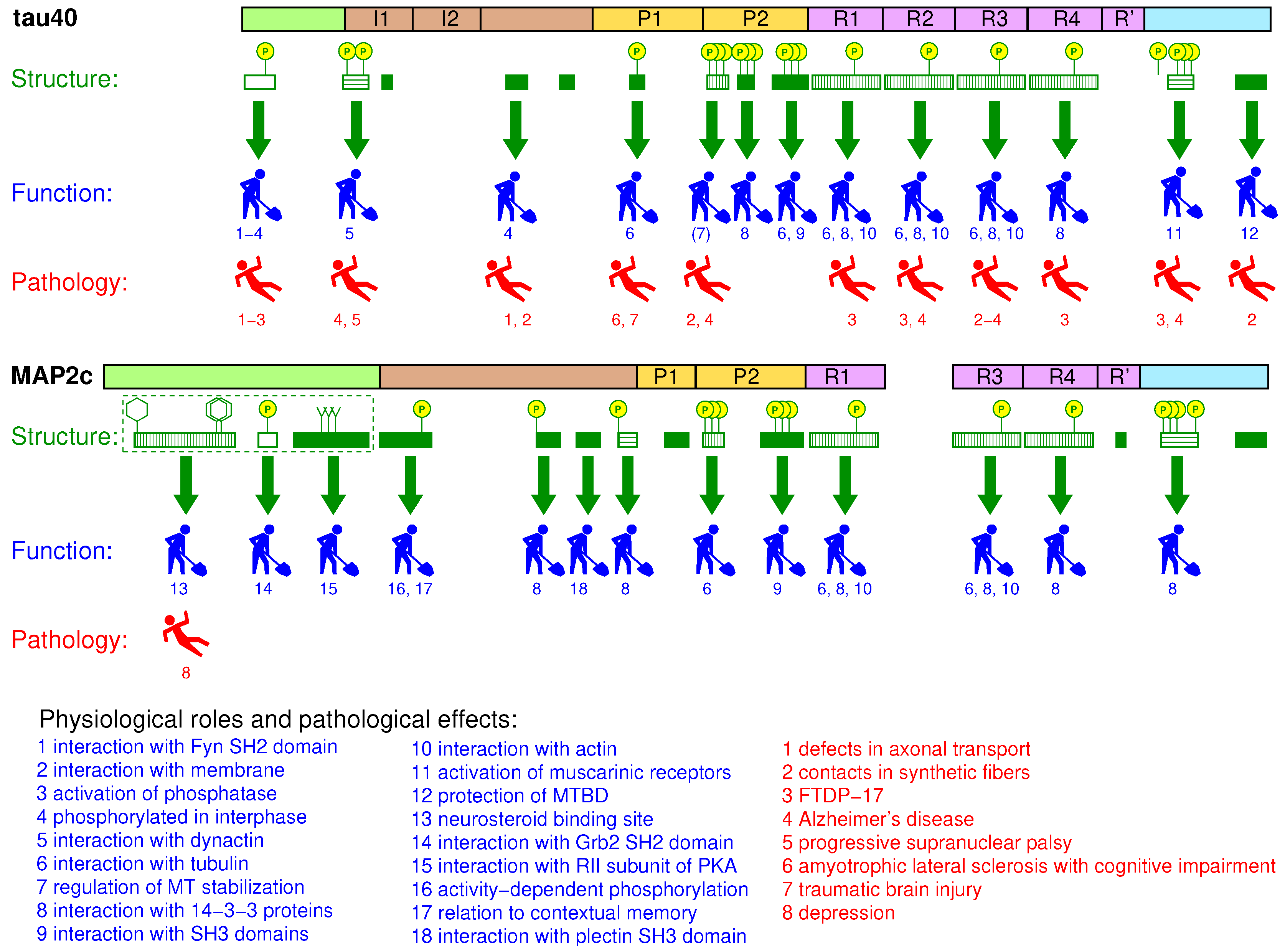 Biomolecules 09 00105 g008
