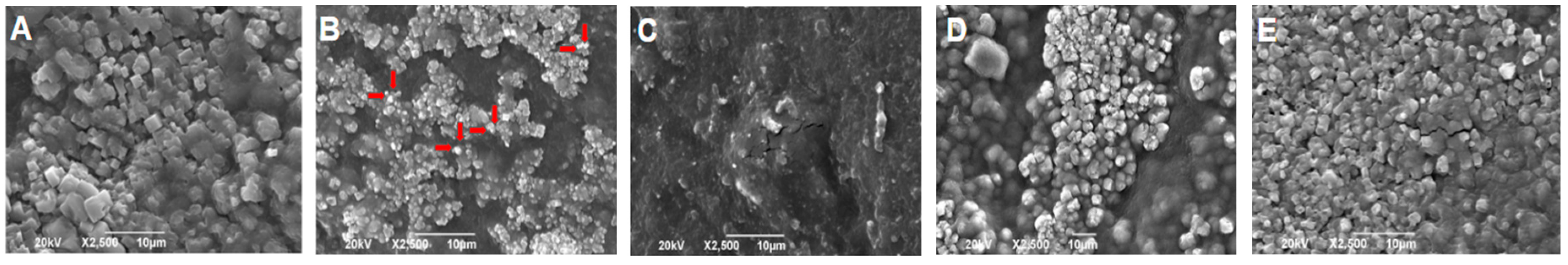Biomolecules 09 00109 g009