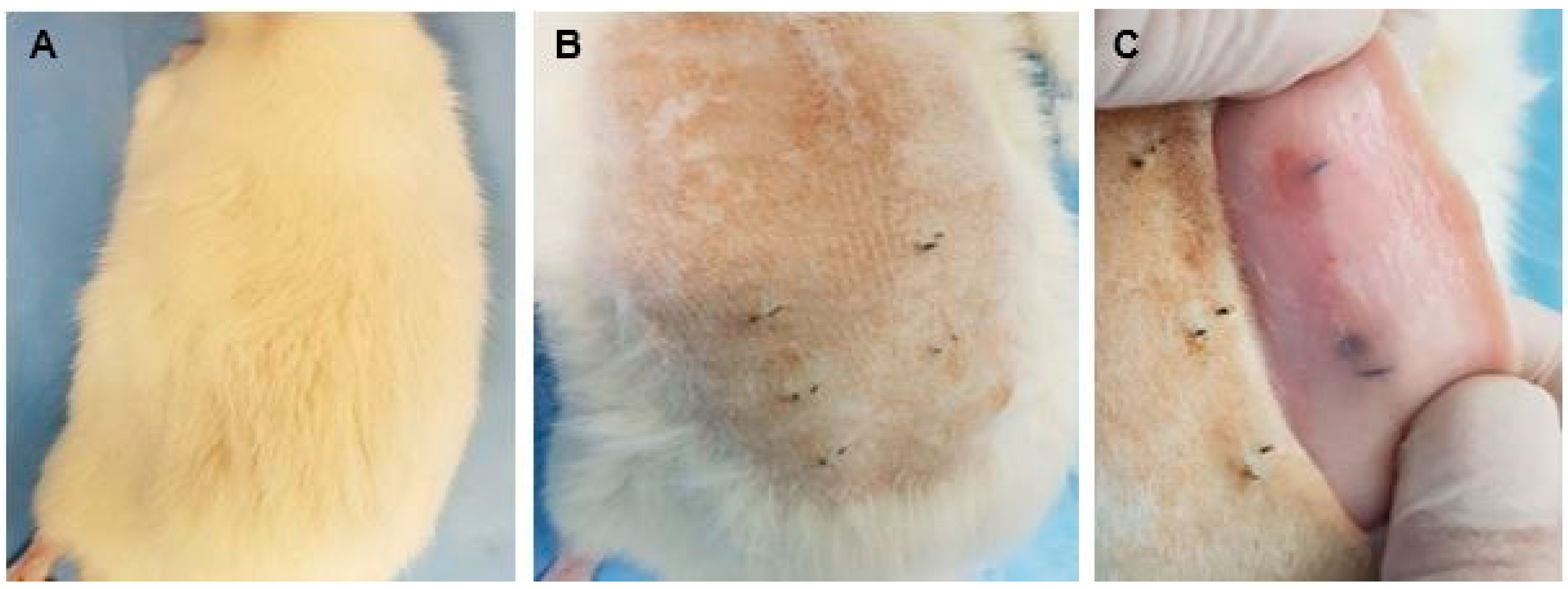 Biomolecules 09 00109 g010