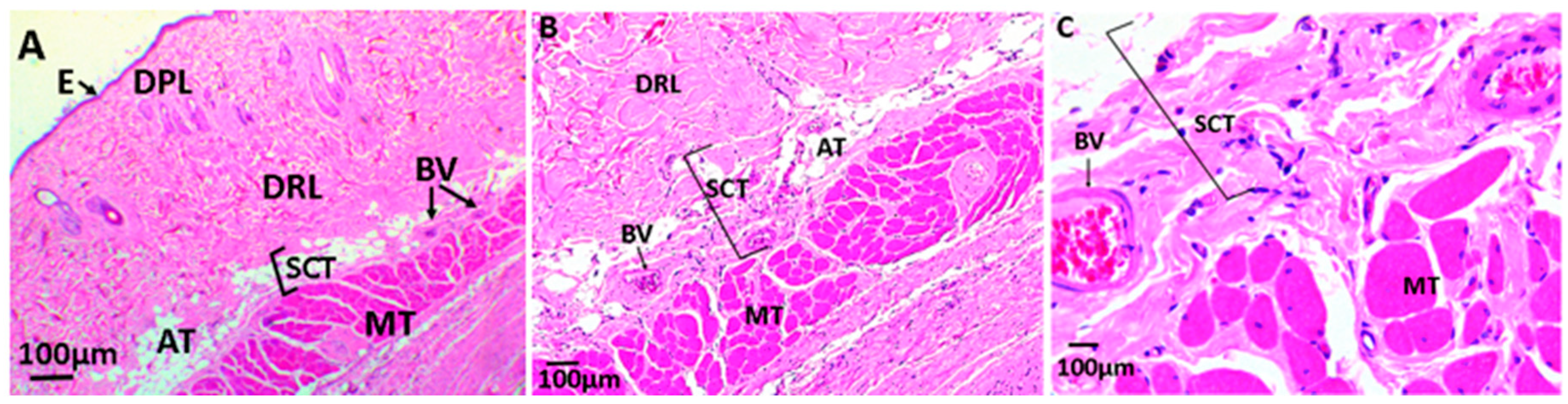 Biomolecules 09 00109 g011