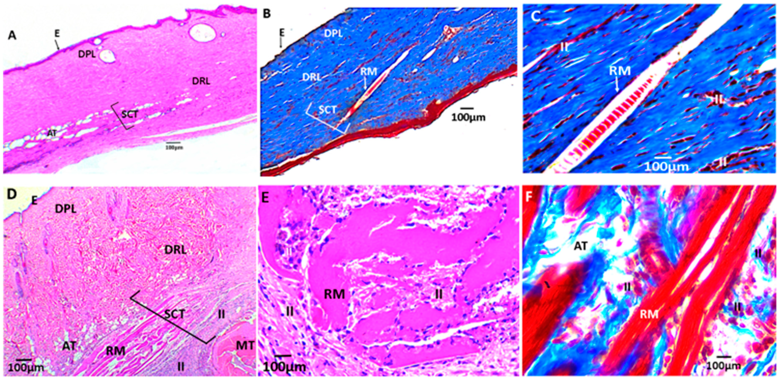 Biomolecules 09 00109 g012