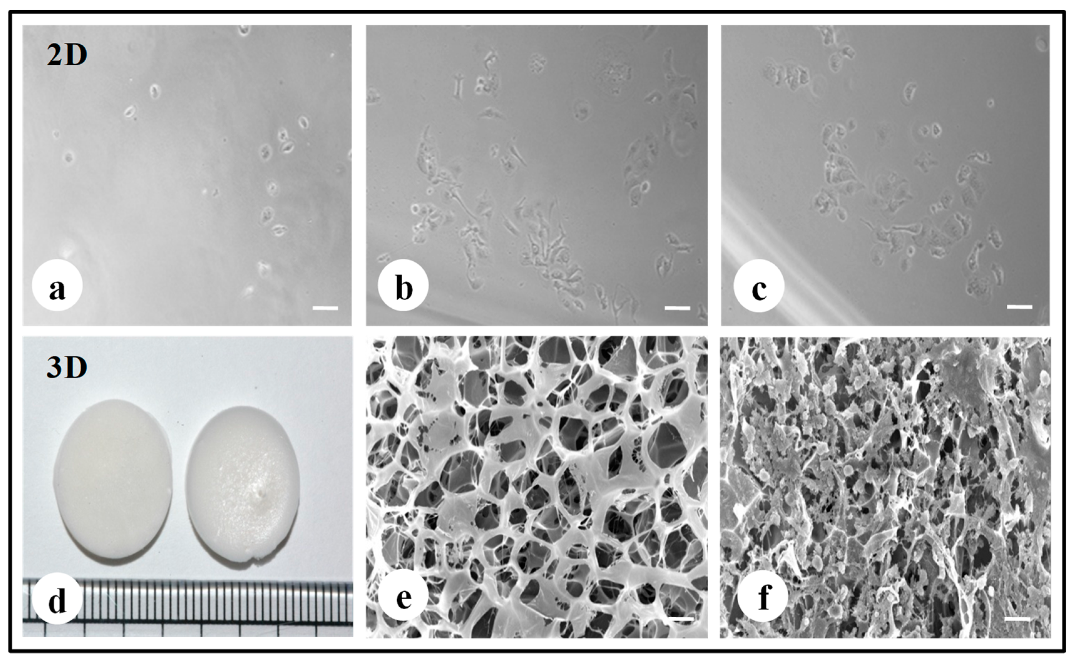 Biomolecules 09 00123 g001