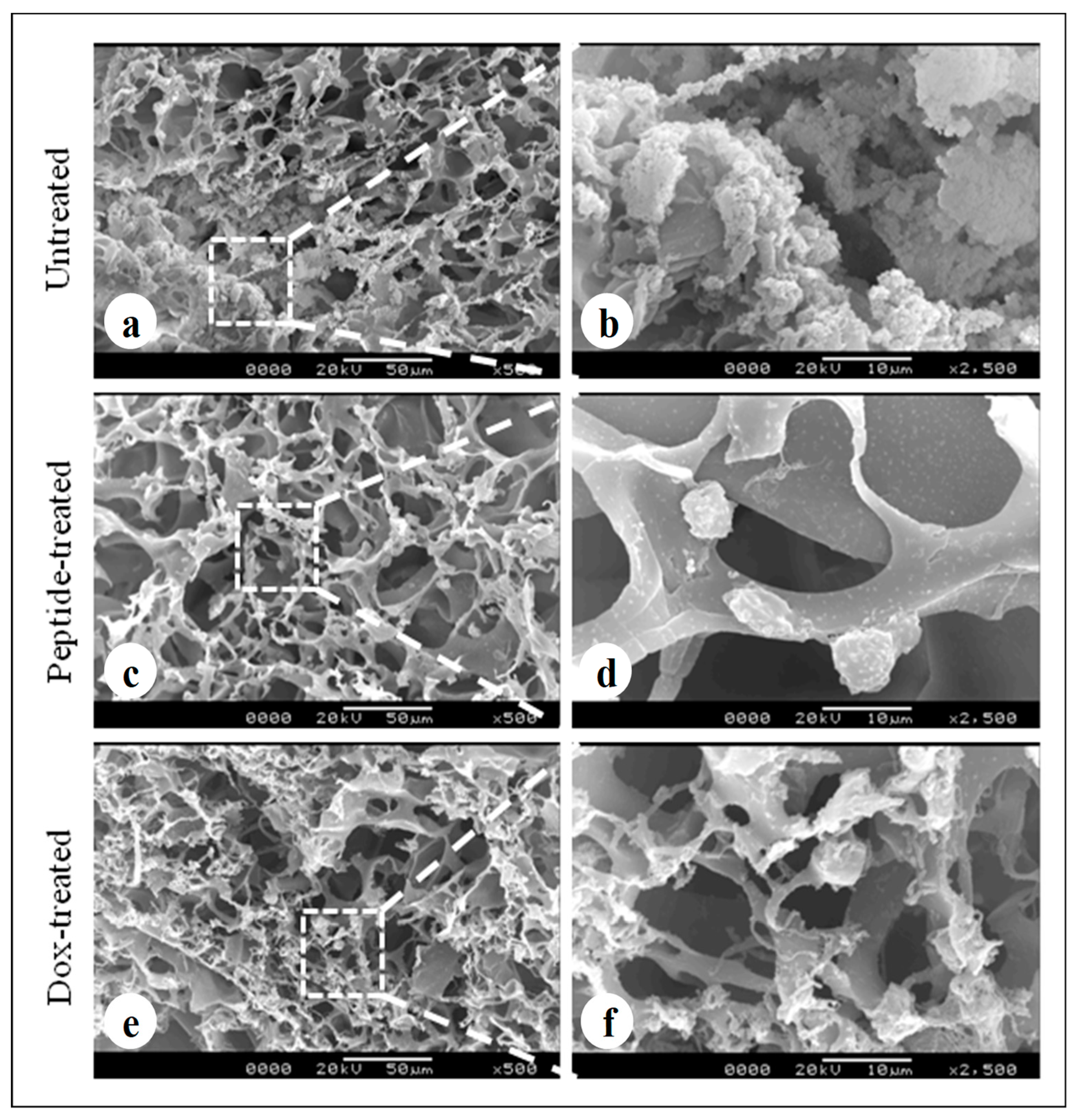 Biomolecules 09 00123 g006
