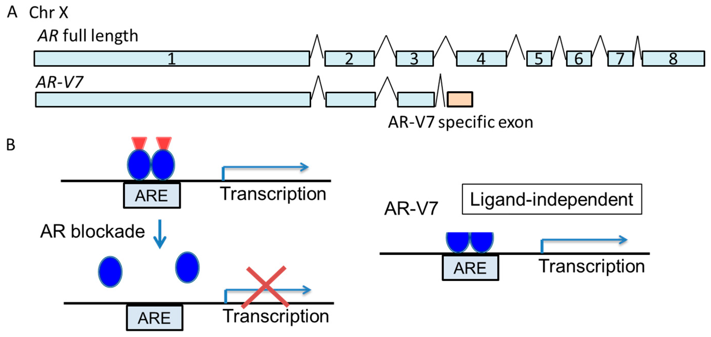 Biomolecules 09 00131 g001