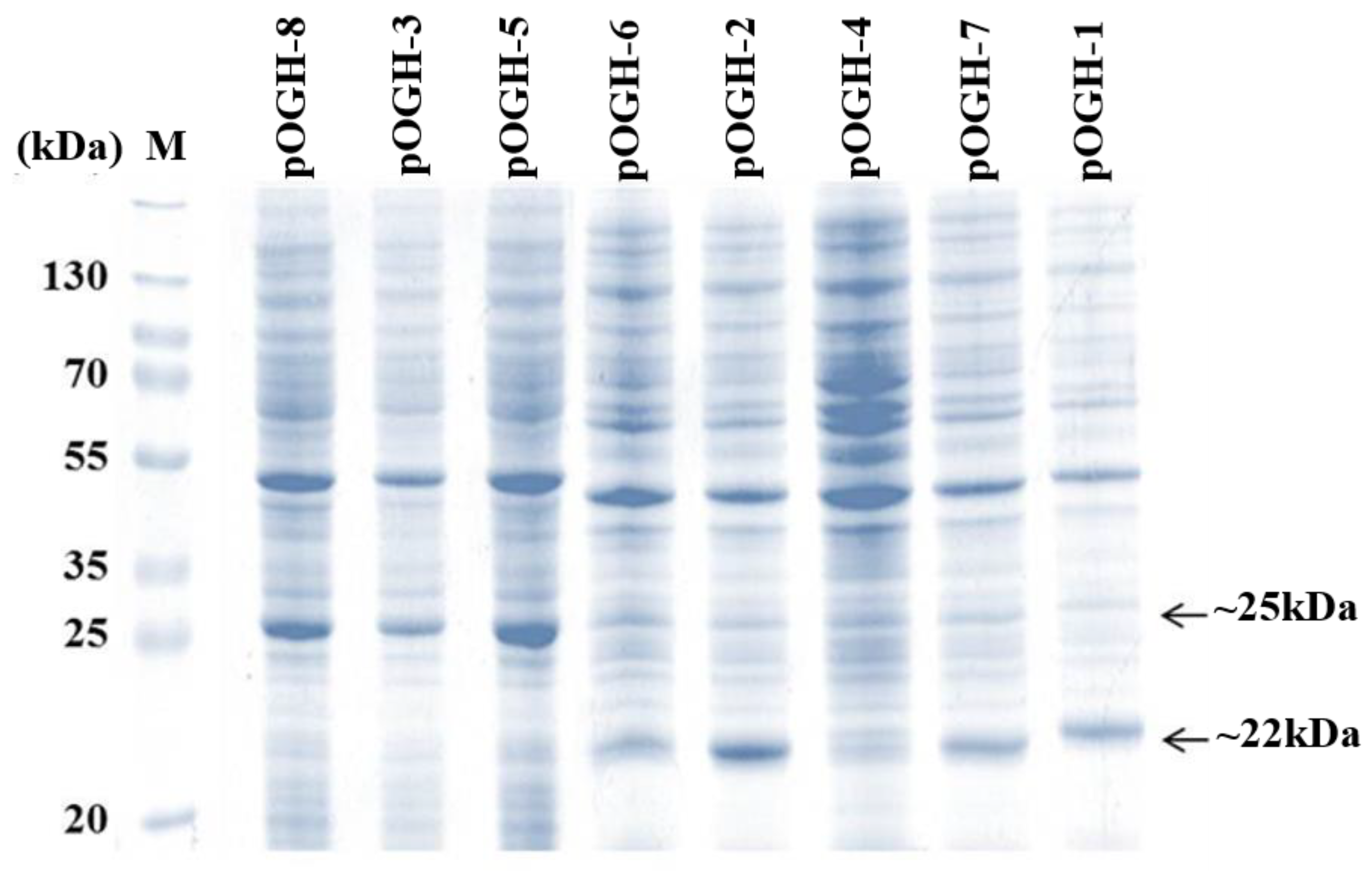 Biomolecules 09 00133 g001