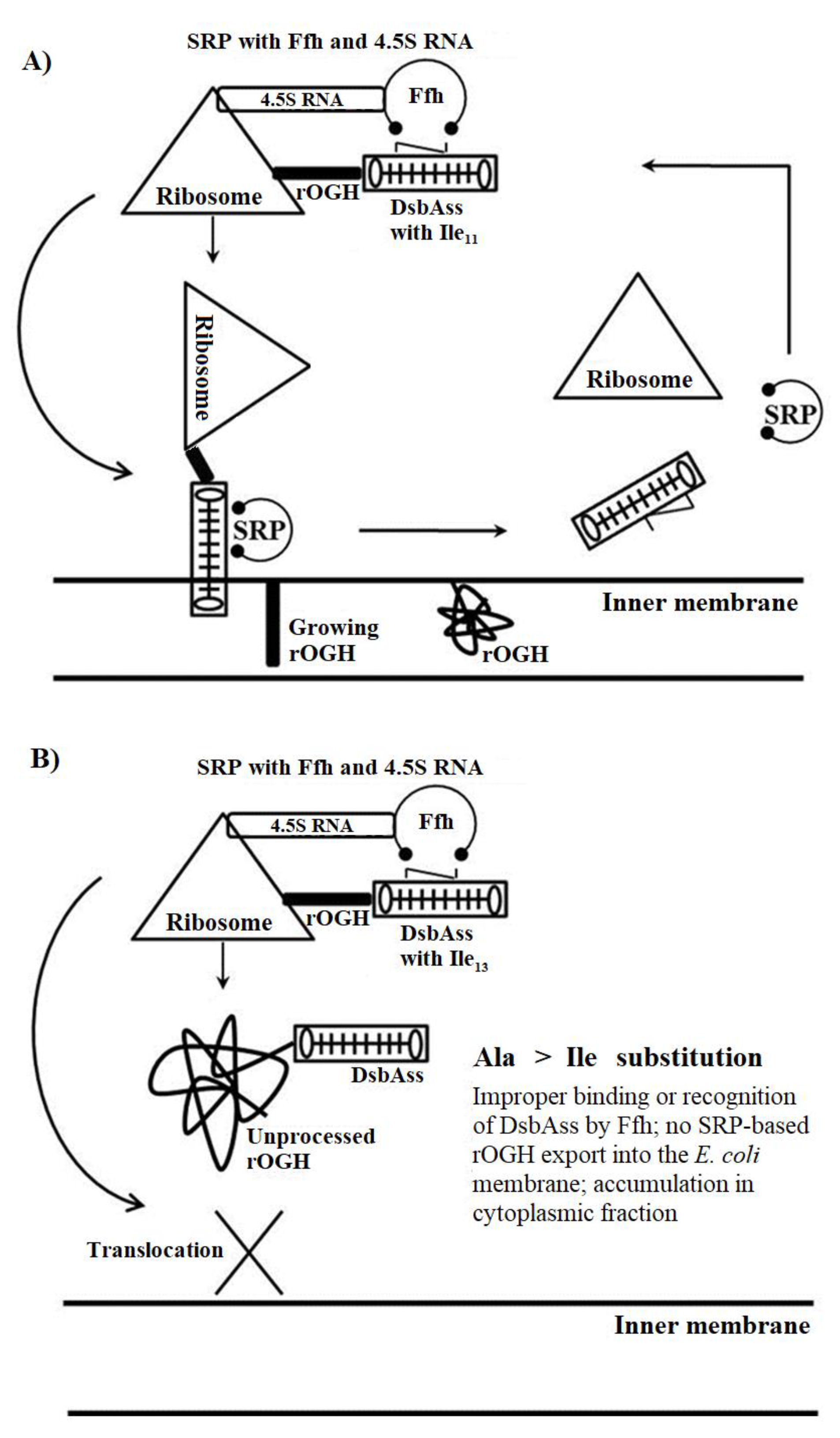Biomolecules 09 00133 g003
