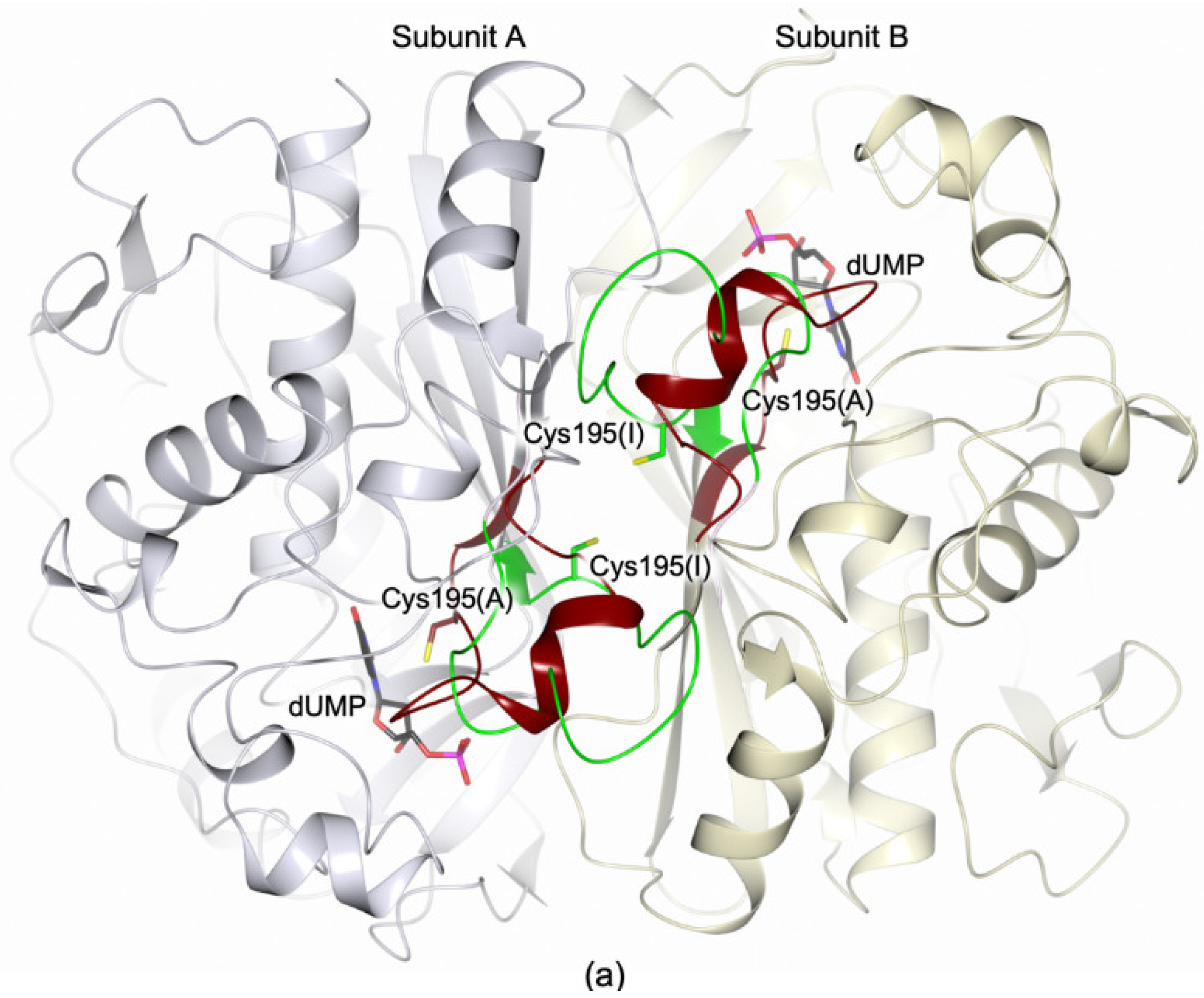 Biomolecules 09 00134 g001a 550