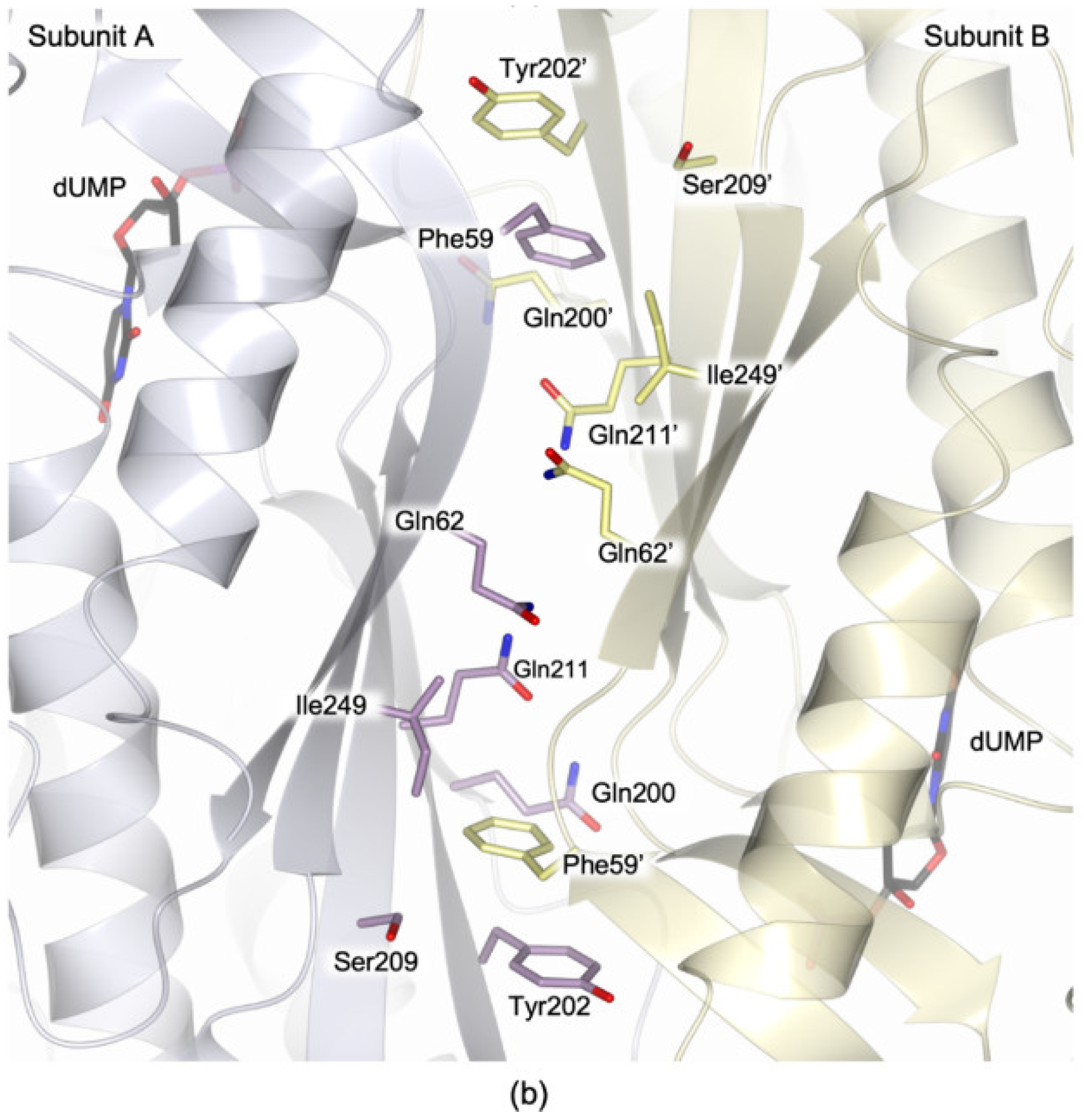 Biomolecules 09 00134 g001b 550