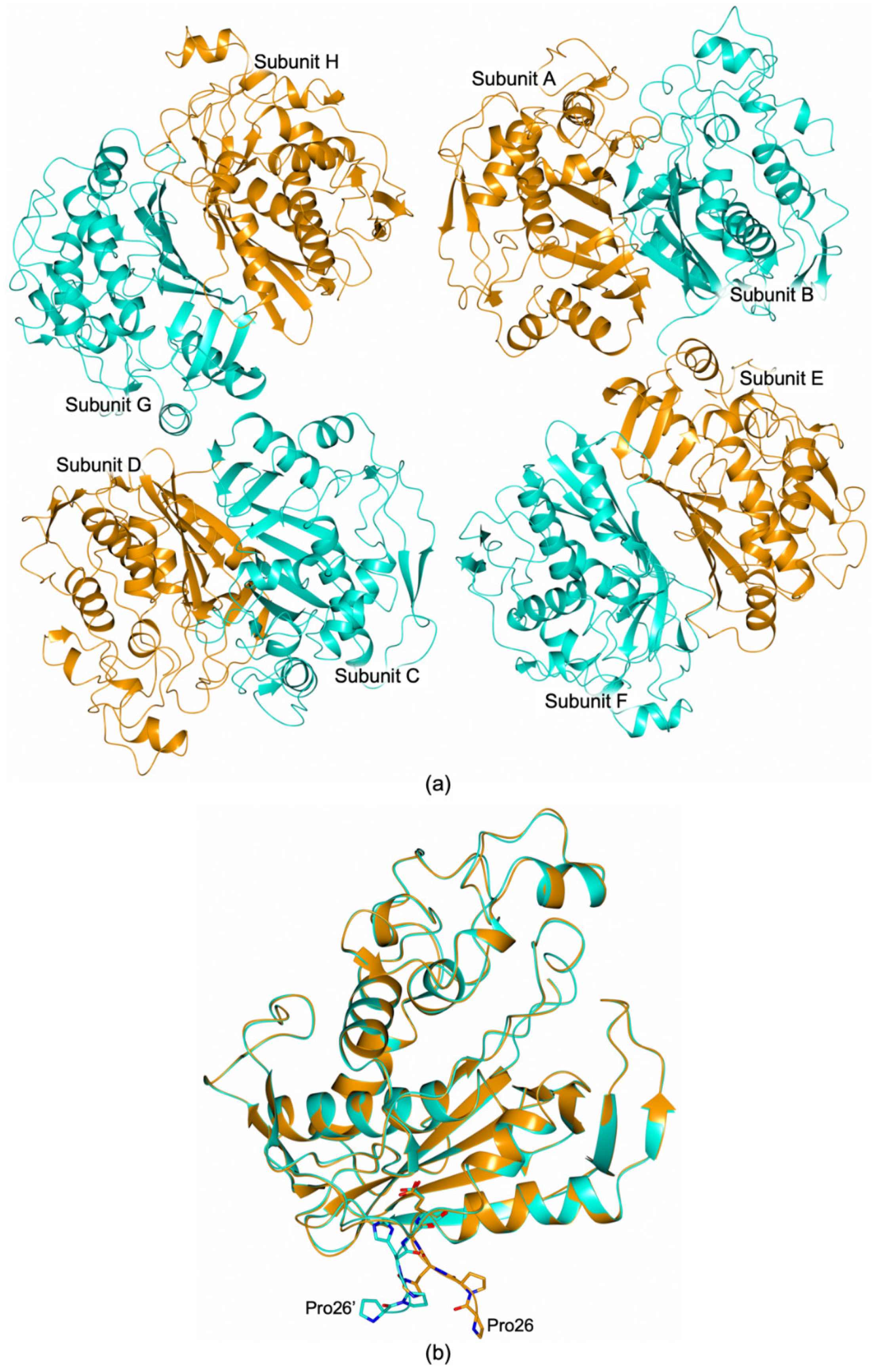 Biomolecules 09 00134 g003 550