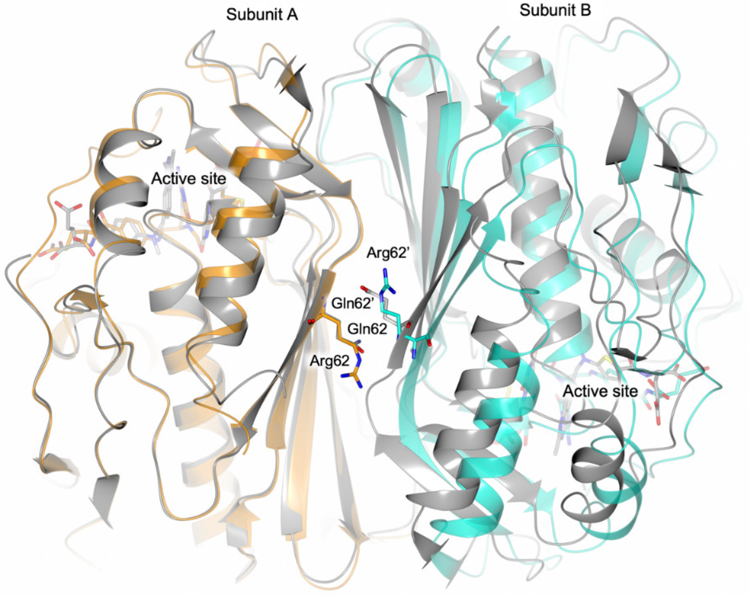 Biomolecules 09 00134 g006 550