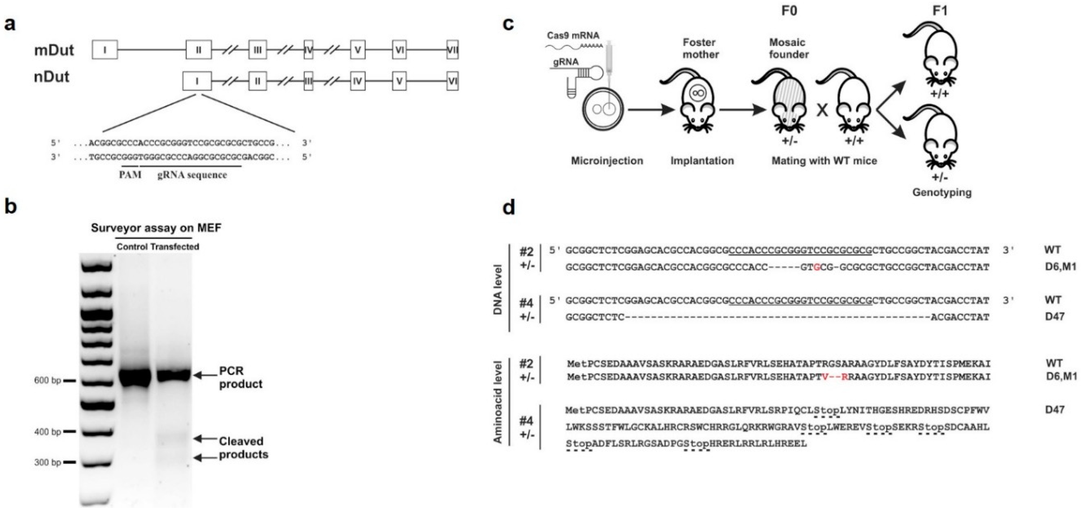 Biomolecules 09 00136 g001 Biomolecules 09 00136 g001
