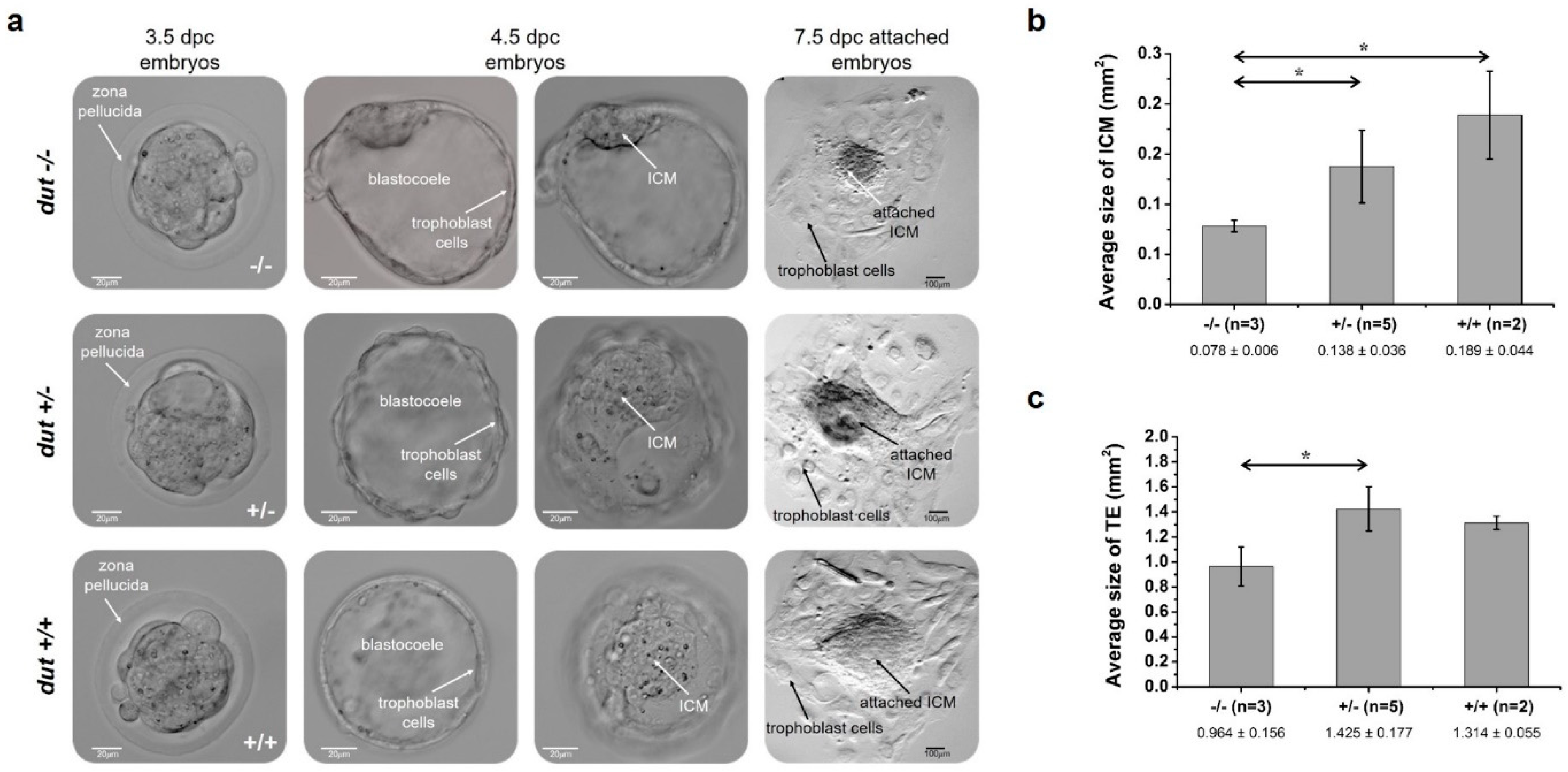 Biomolecules 09 00136 g003 Biomolecules 09 00136 g003