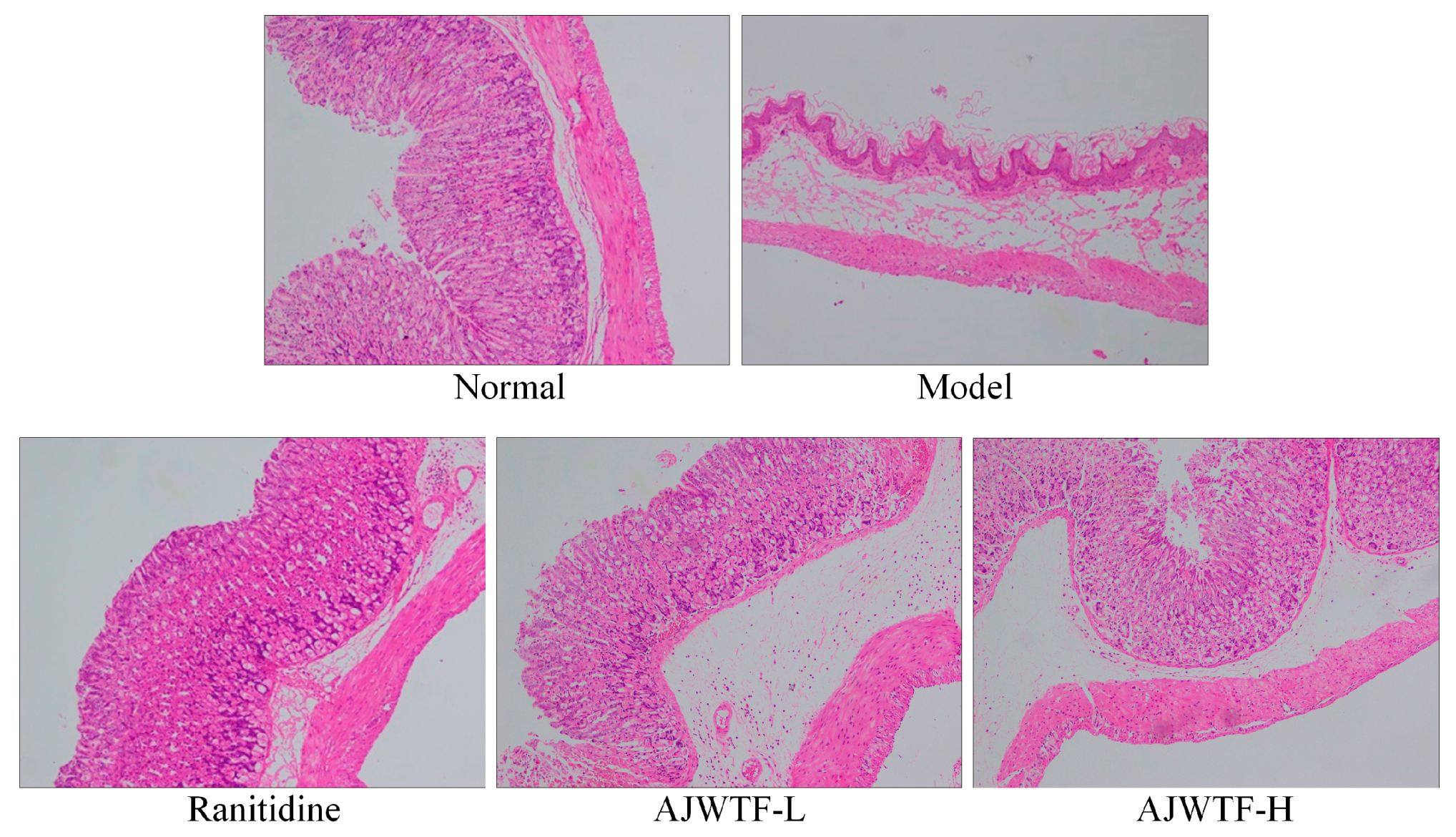 Biomolecules 09 00137 g002