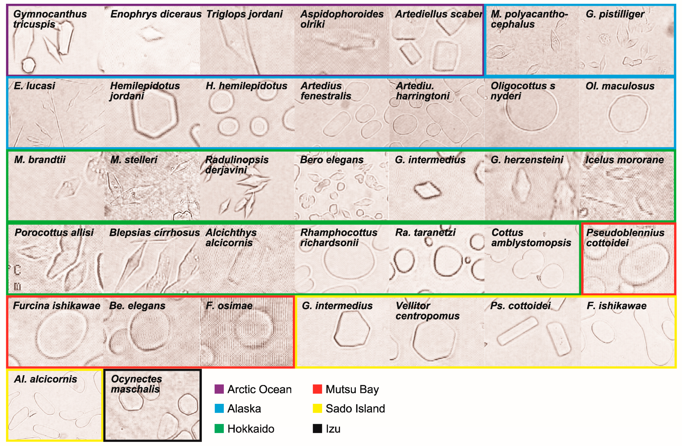 Biomolecules 09 00139 g002 Biomolecules 09 00139 g002