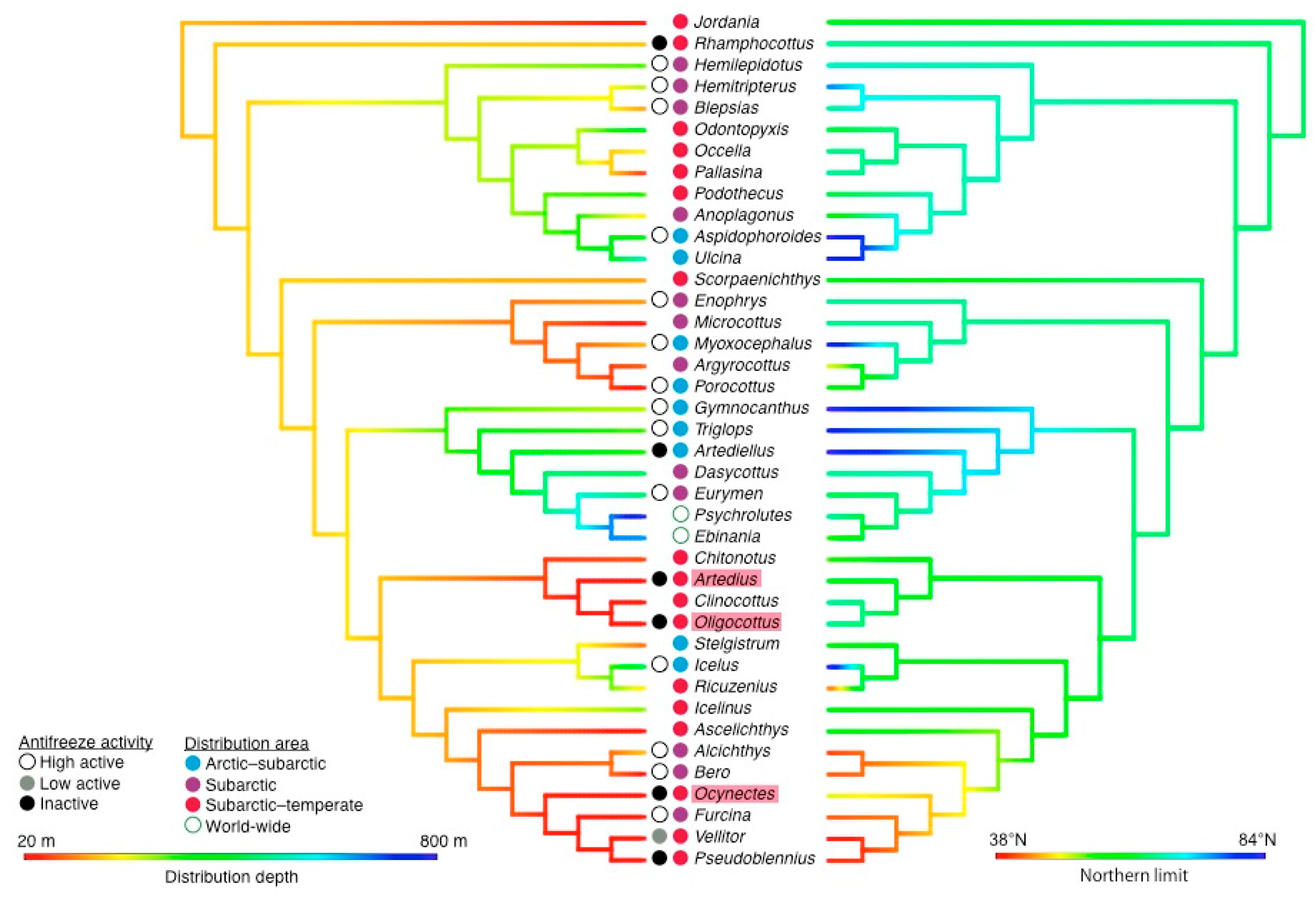 Biomolecules 09 00139 g003 Biomolecules 09 00139 g003