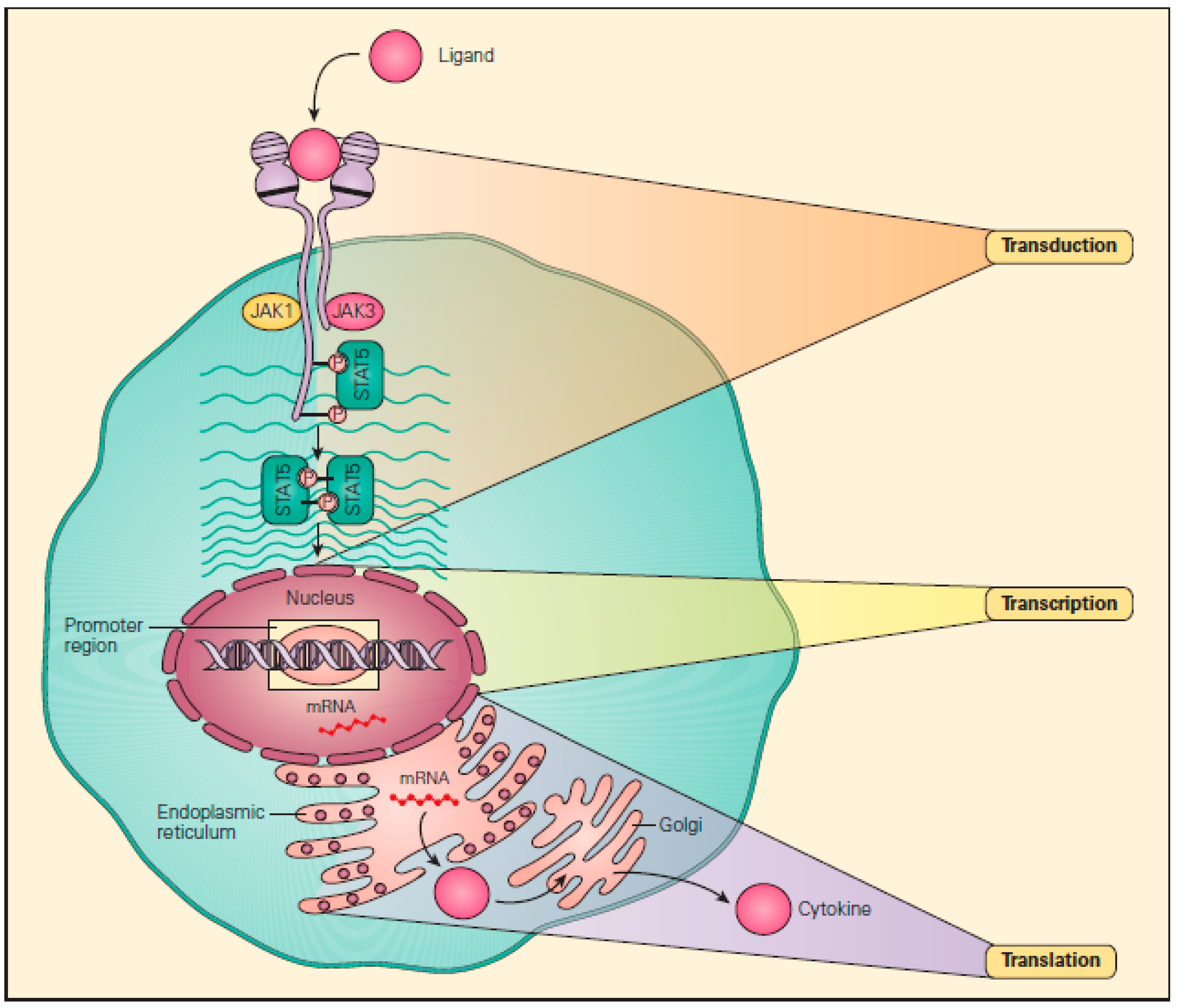 Biomolecules 09 00145 g002