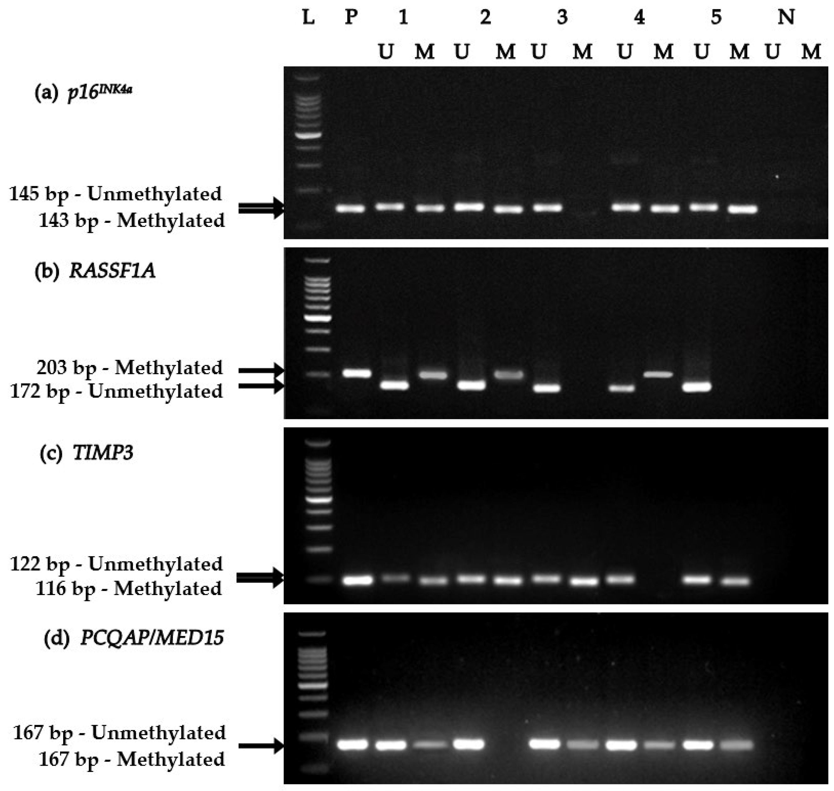 Biomolecules 09 00148 g002 Biomolecules 09 00148 g002