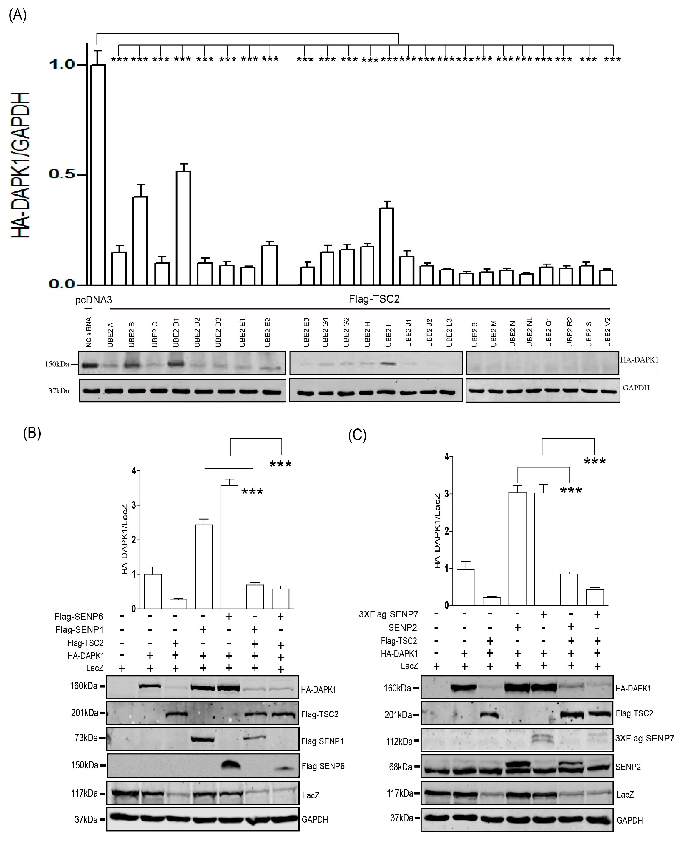 Biomolecules 09 00151 g001