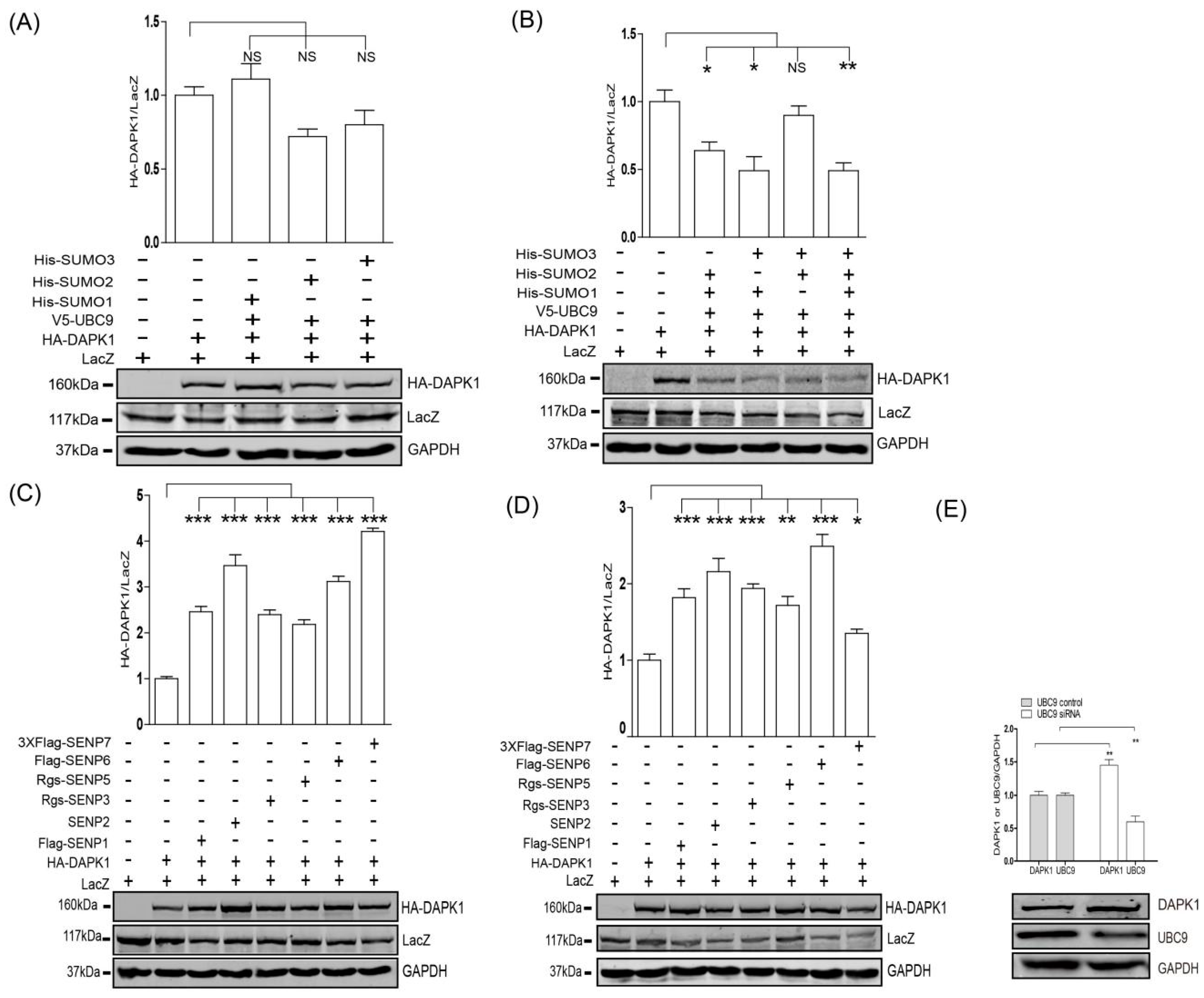 Biomolecules 09 00151 g002