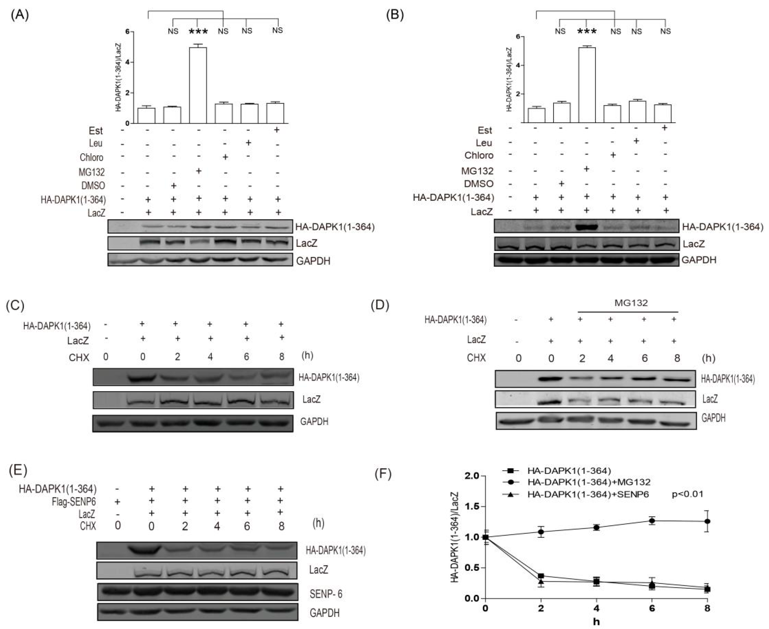 Biomolecules 09 00151 g004