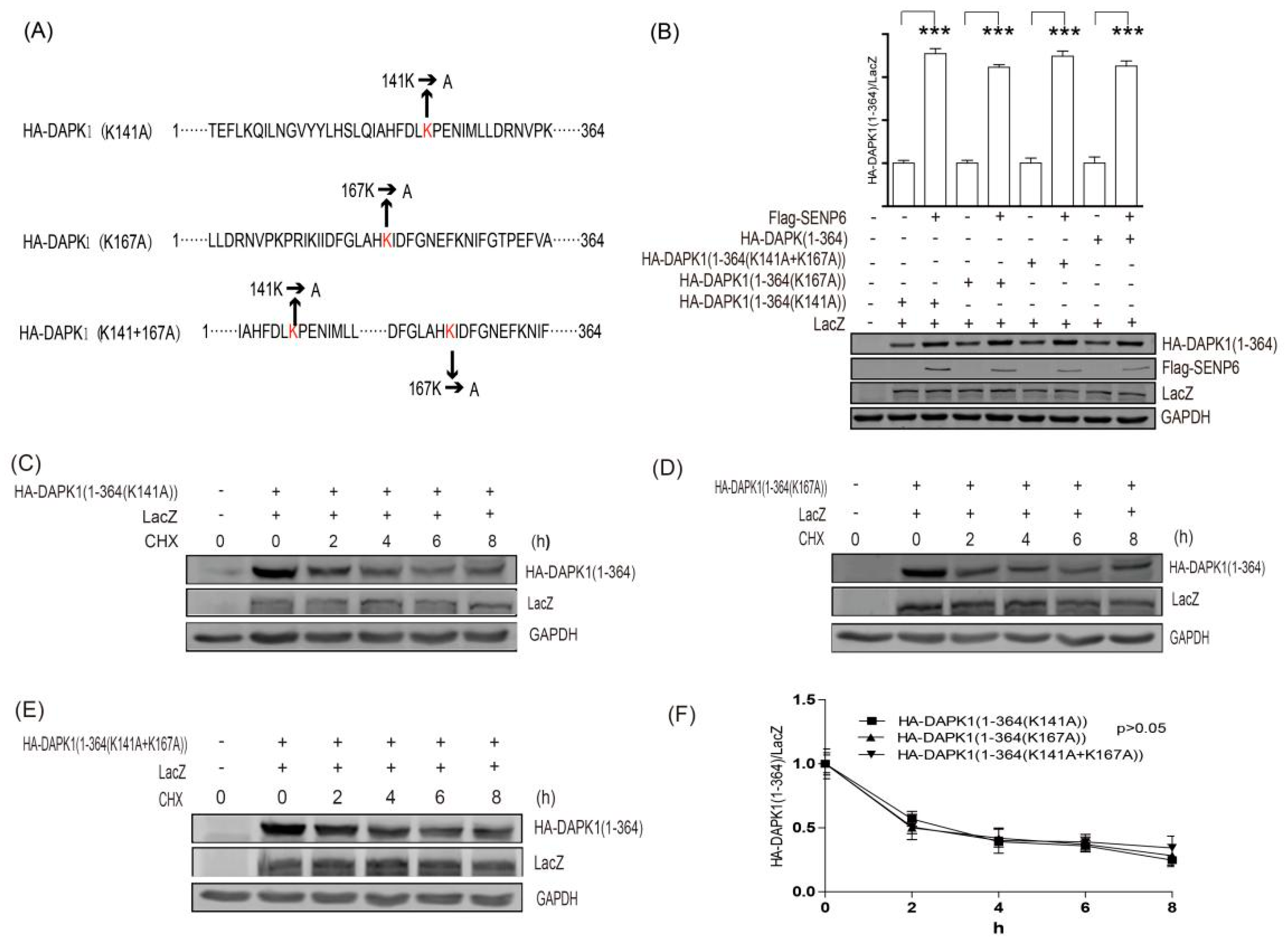 Biomolecules 09 00151 g005