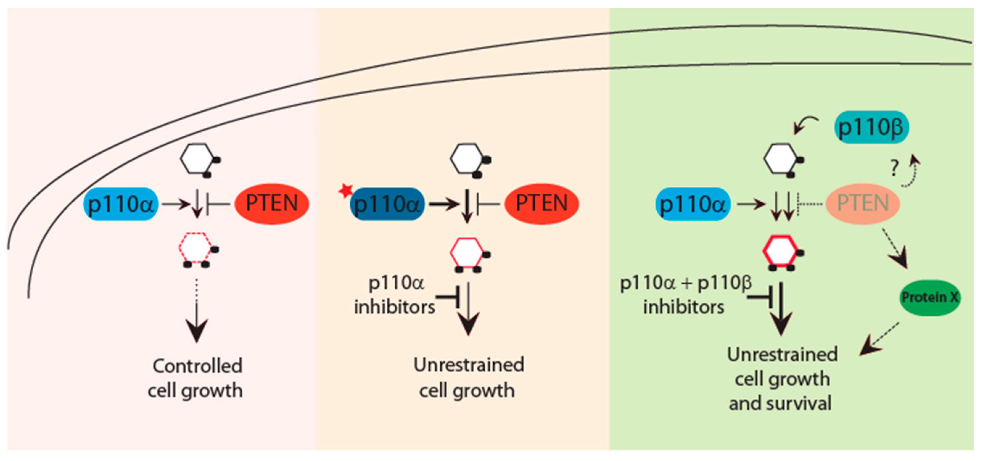 Biomolecules 09 00153 g002