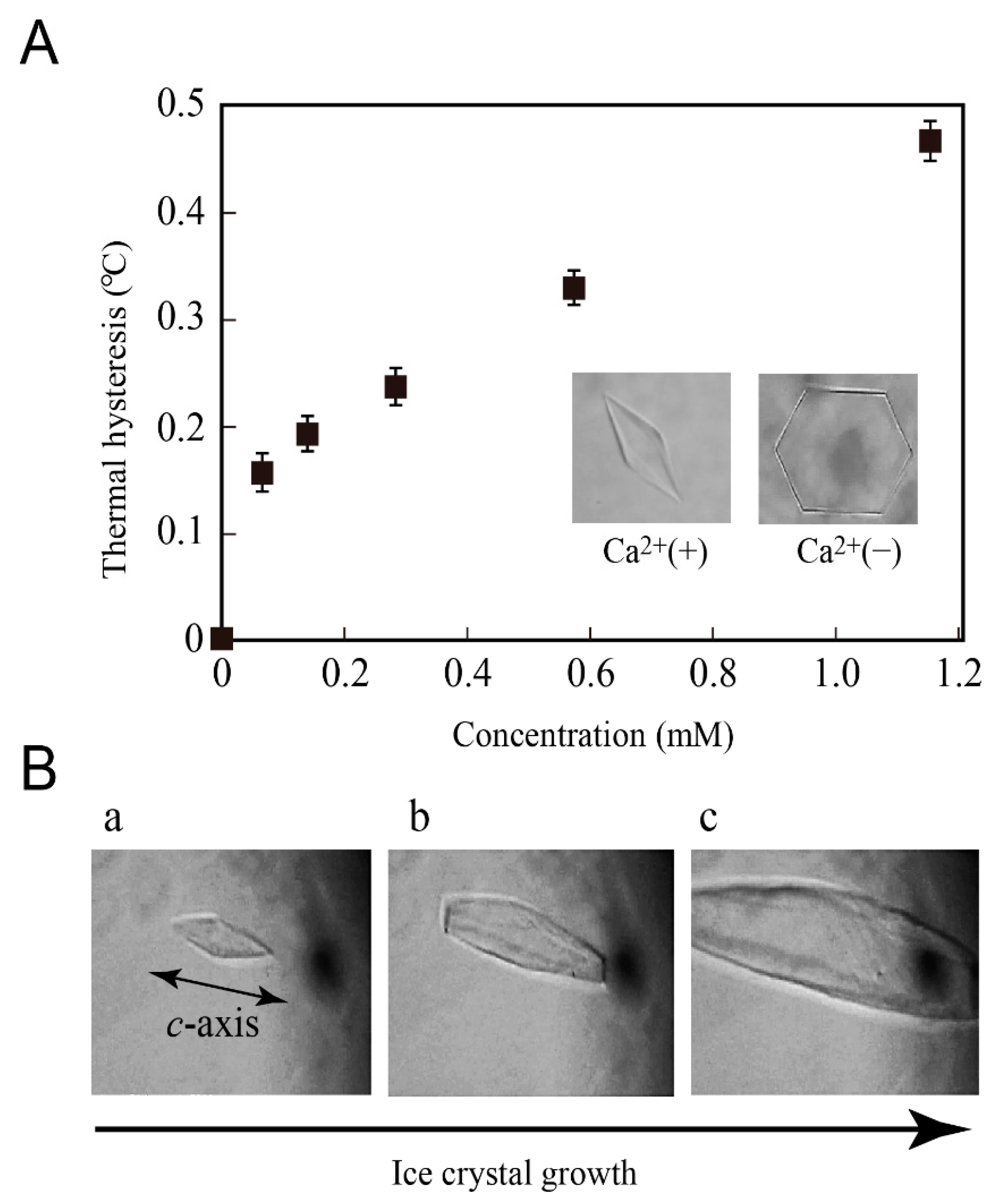Biomolecules 09 00162 g001 Biomolecules 09 00162 g001