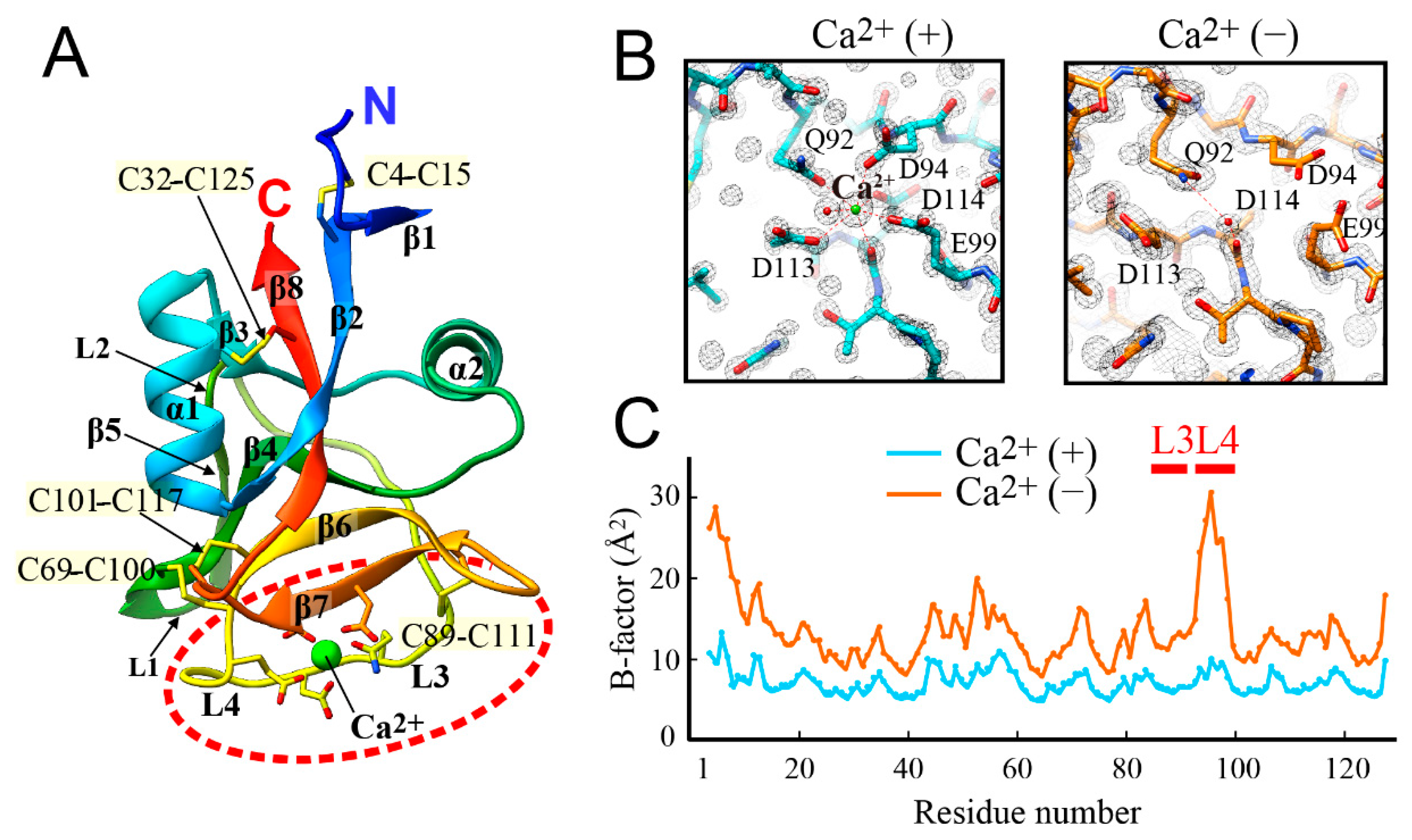 Biomolecules 09 00162 g003 Biomolecules 09 00162 g003