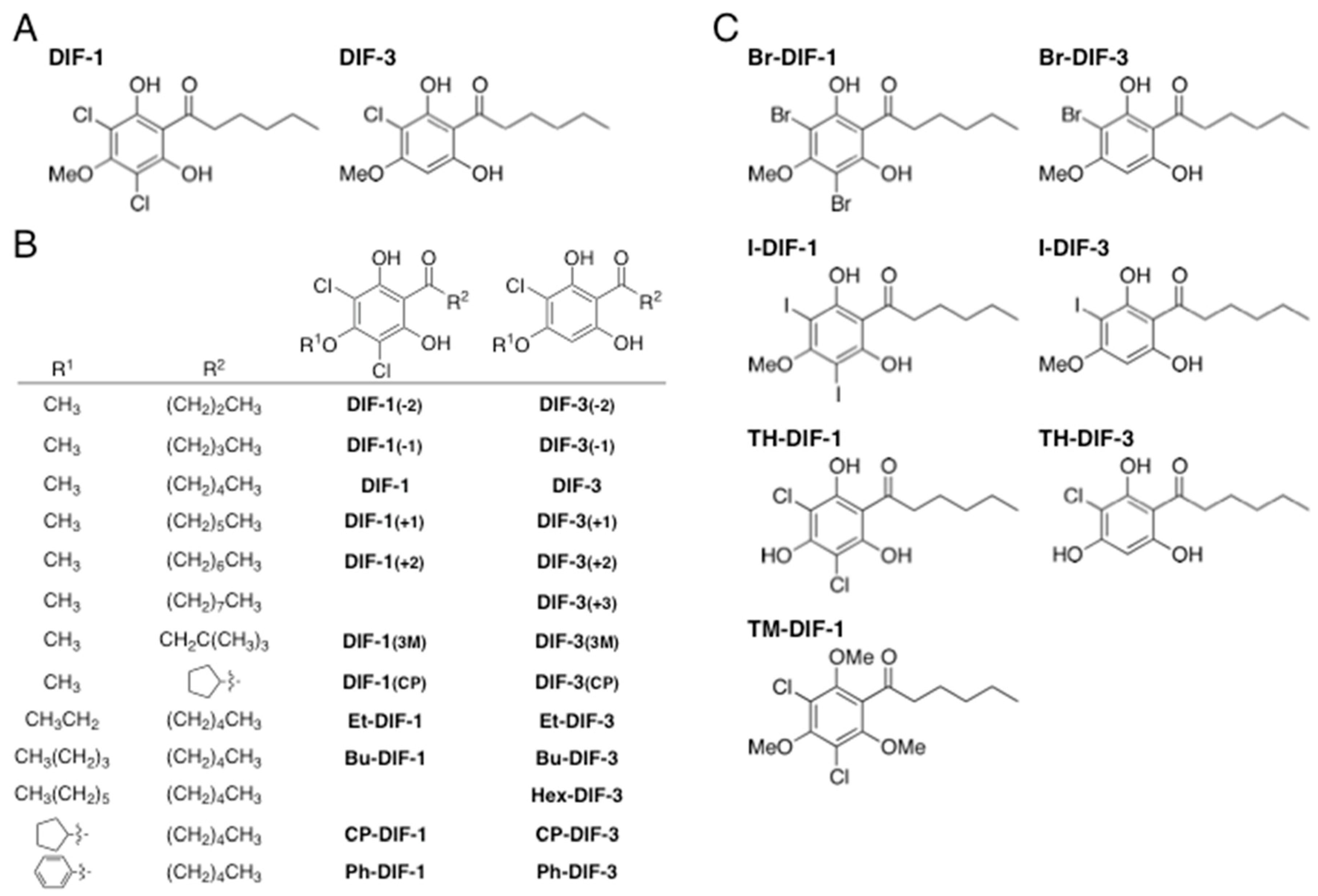 Biomolecules 09 00163 g001 Biomolecules 09 00163 g001