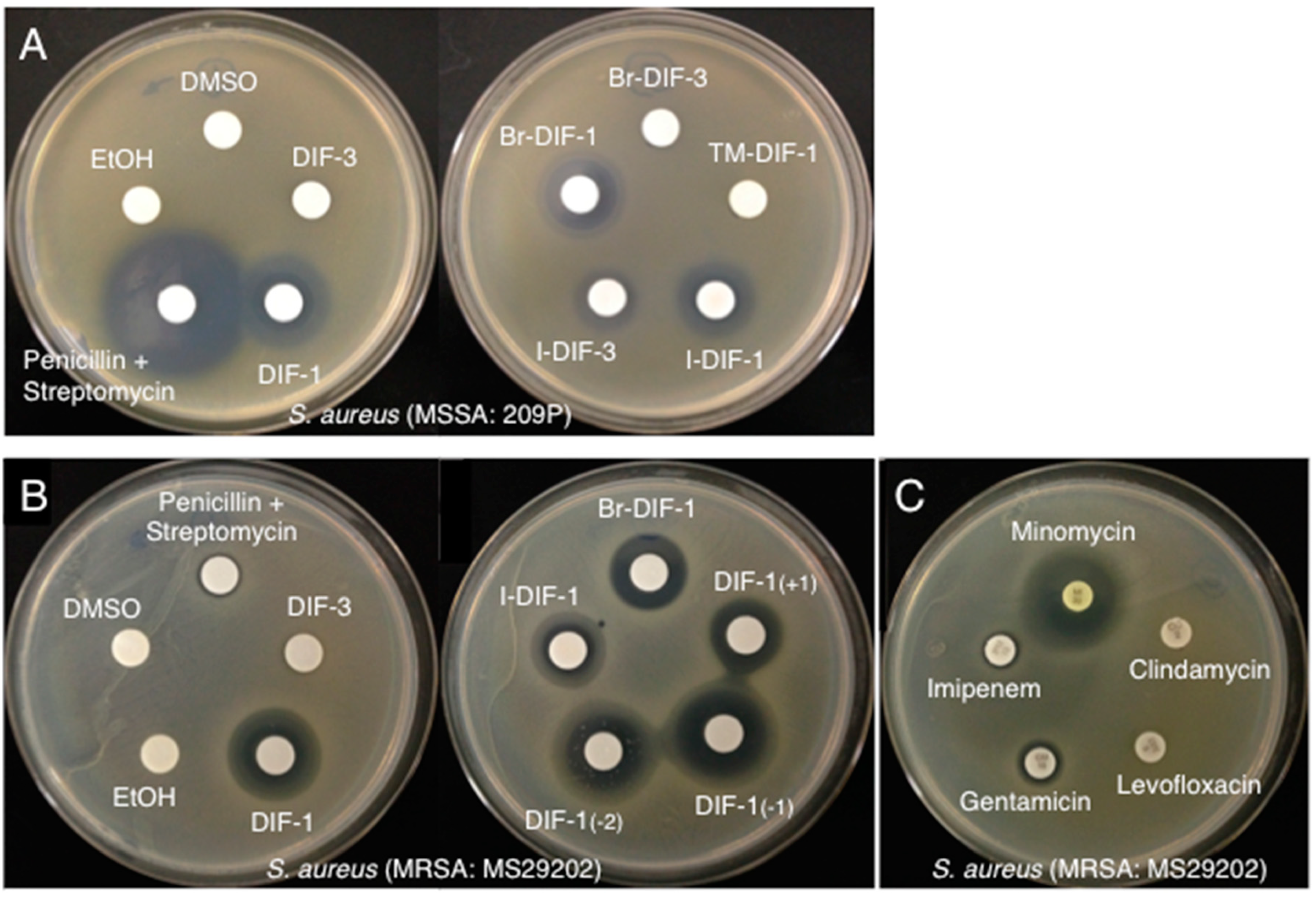 Biomolecules 09 00163 g002 Biomolecules 09 00163 g002