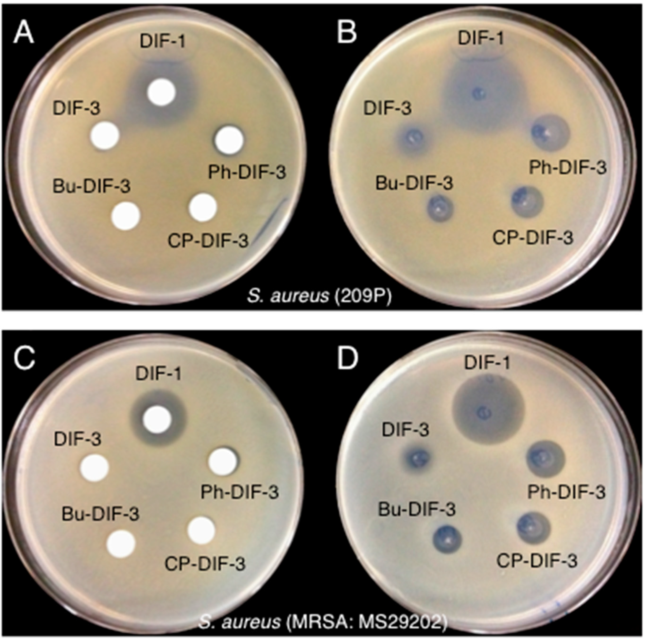 Biomolecules 09 00163 g003 Biomolecules 09 00163 g003