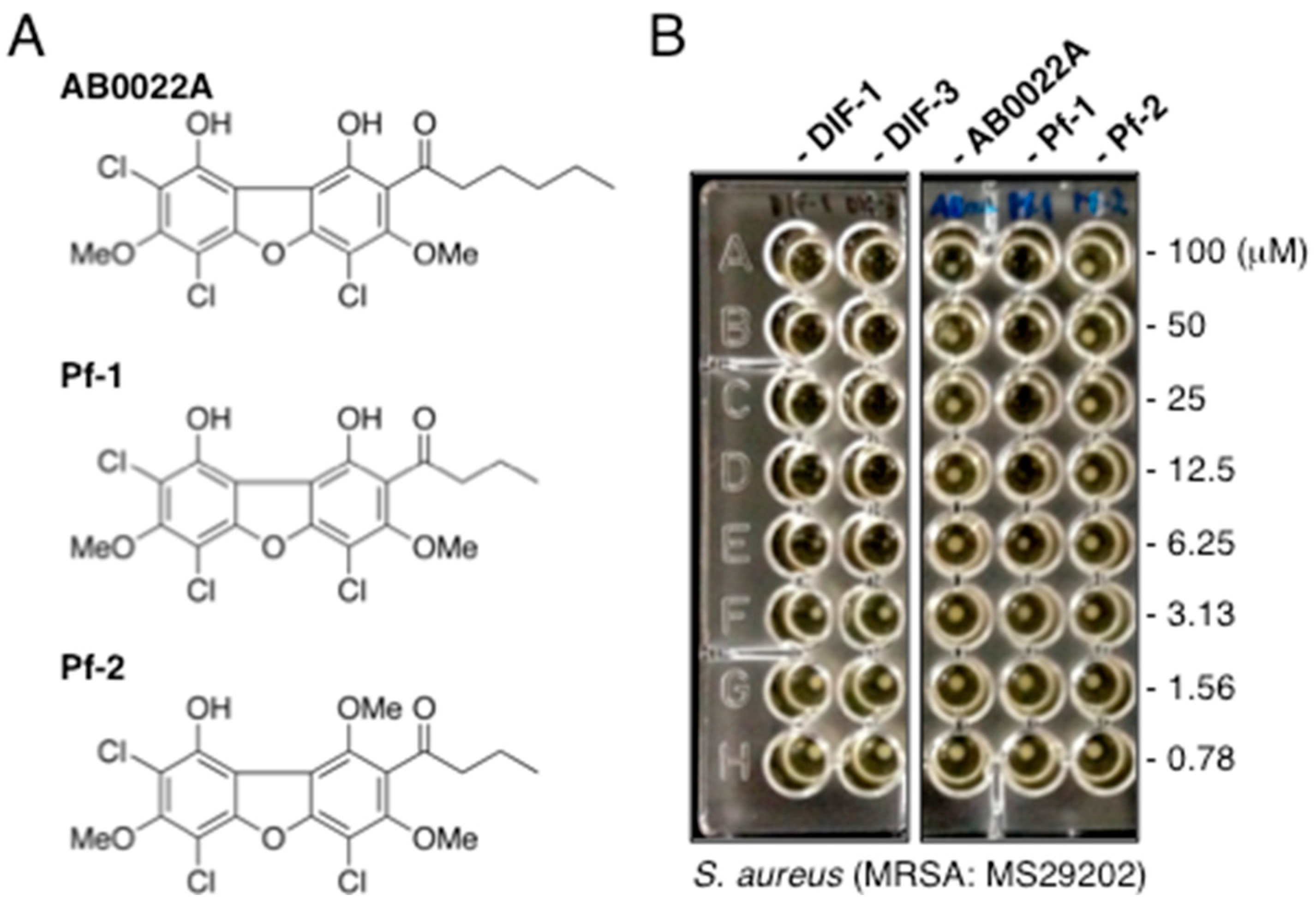 Biomolecules 09 00163 g005 Biomolecules 09 00163 g005