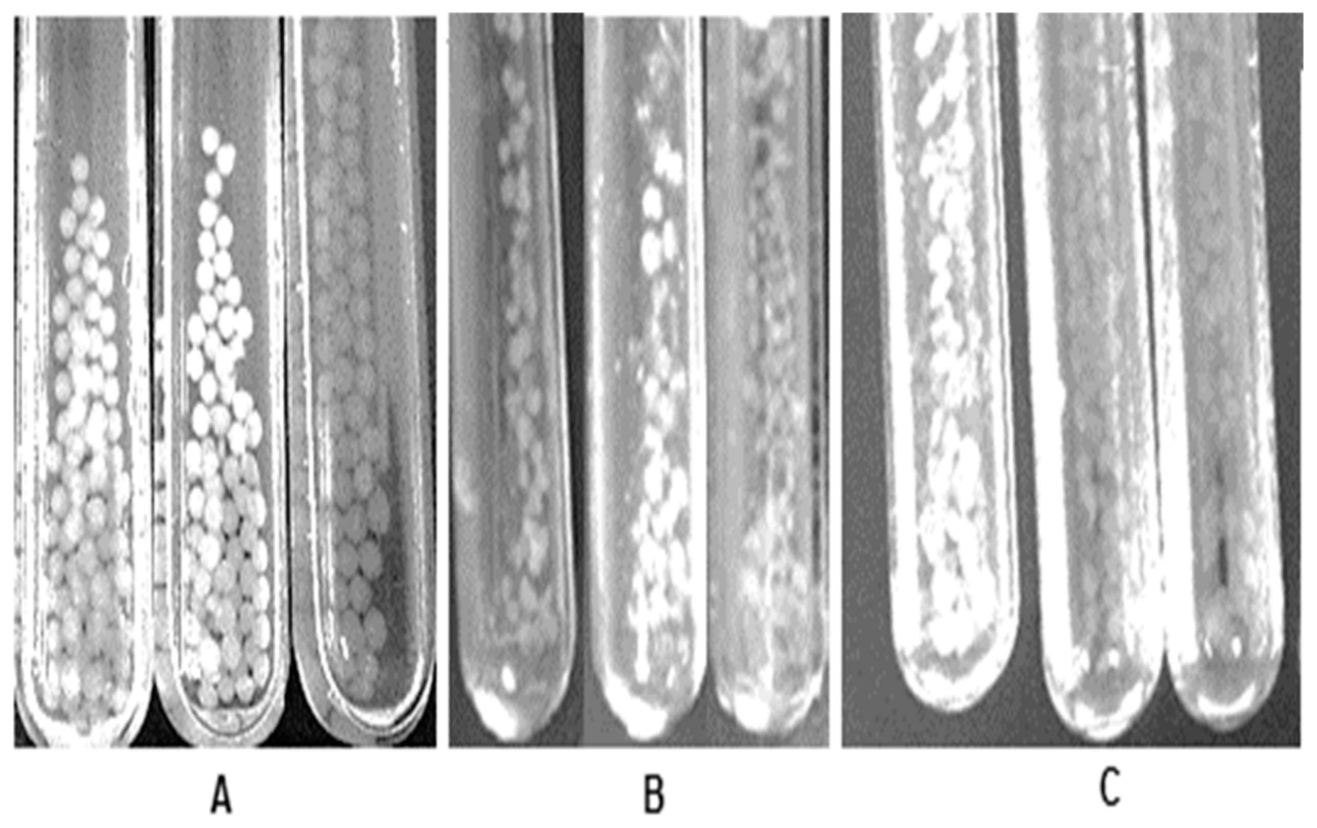 Biomolecules 09 00164 g003 Biomolecules 09 00164 g003