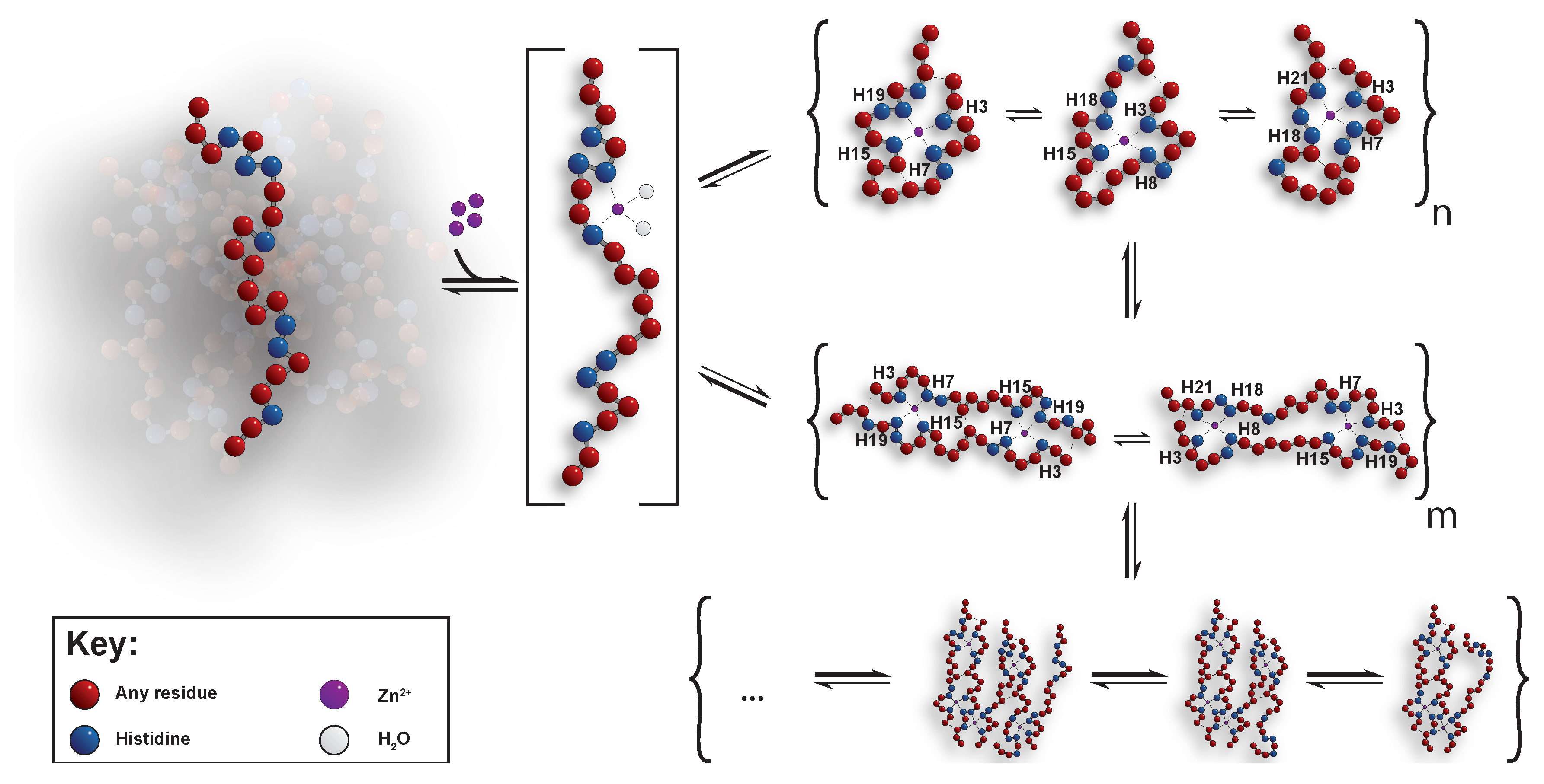 Biomolecules 09 00168 g011 550
