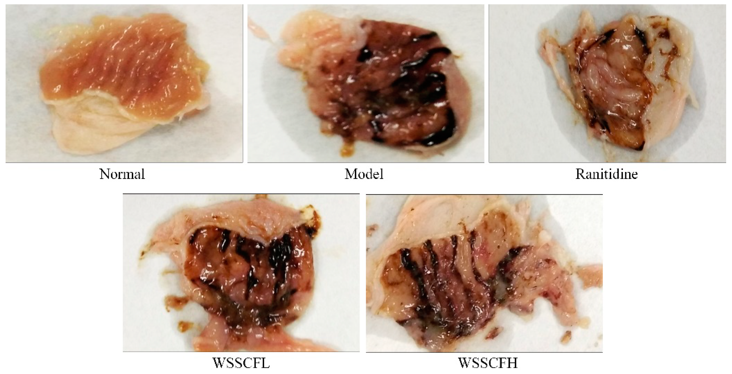 Biomolecules 09 00169 g002
