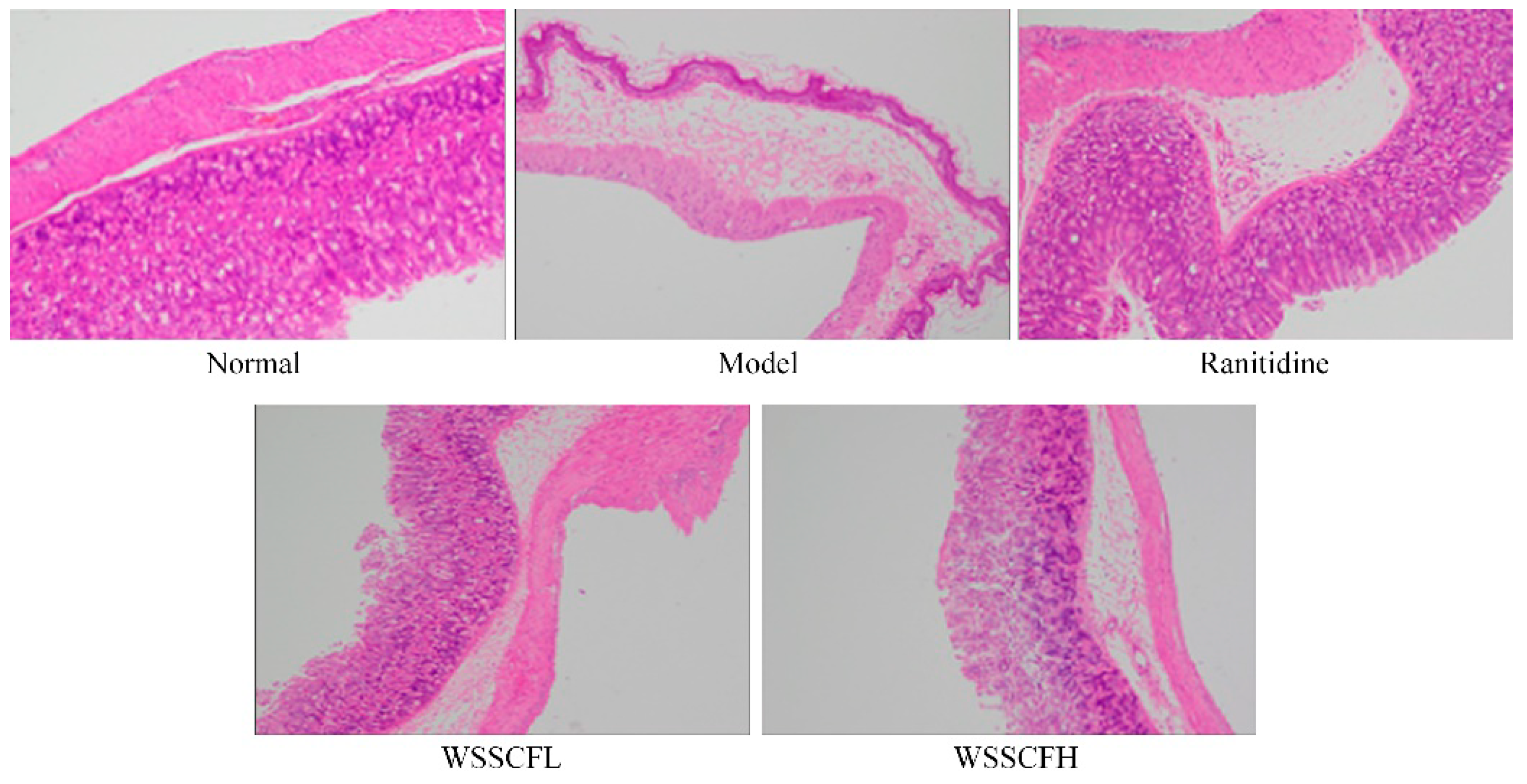 Biomolecules 09 00169 g003