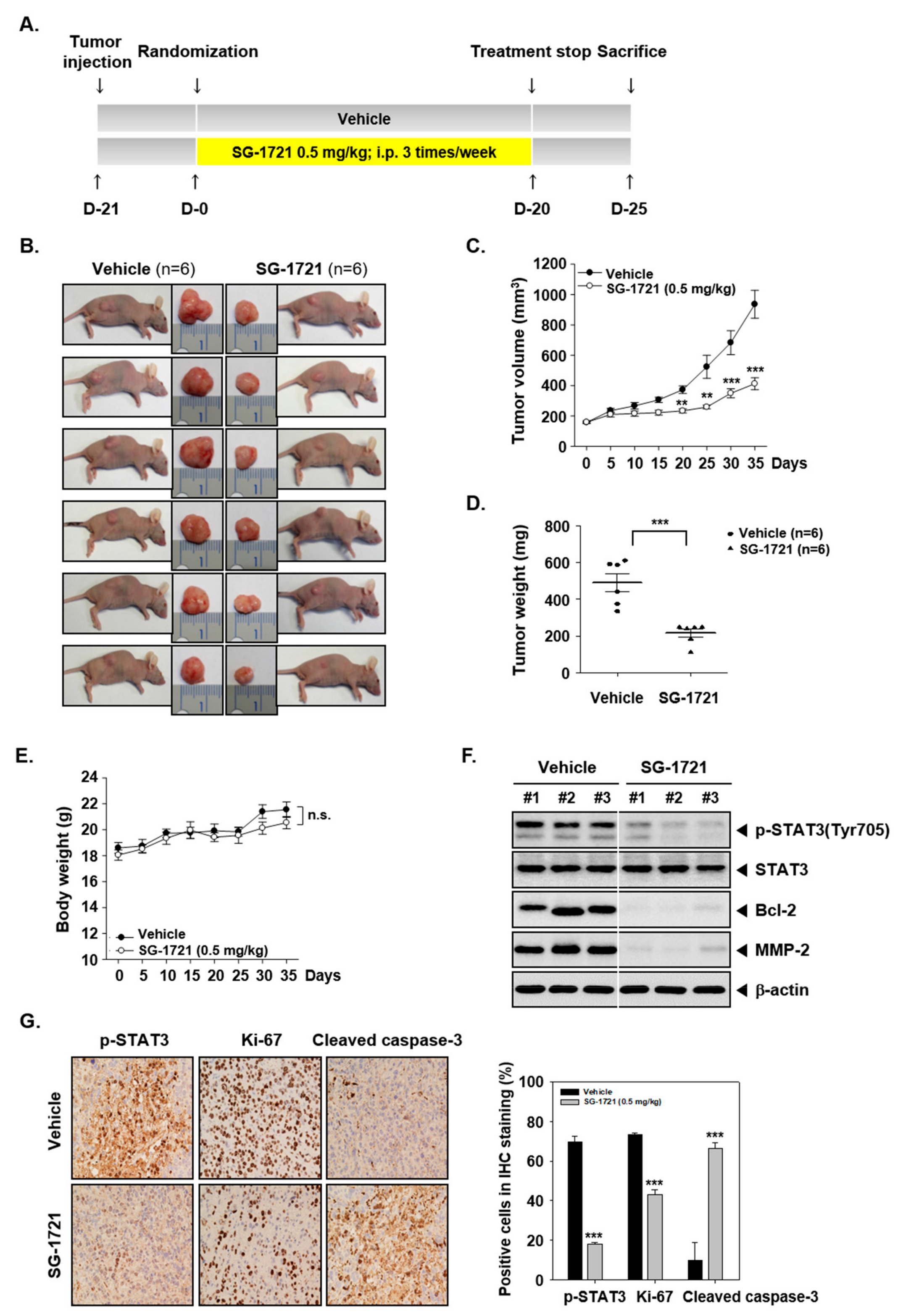 Biomolecules 09 00170 g005