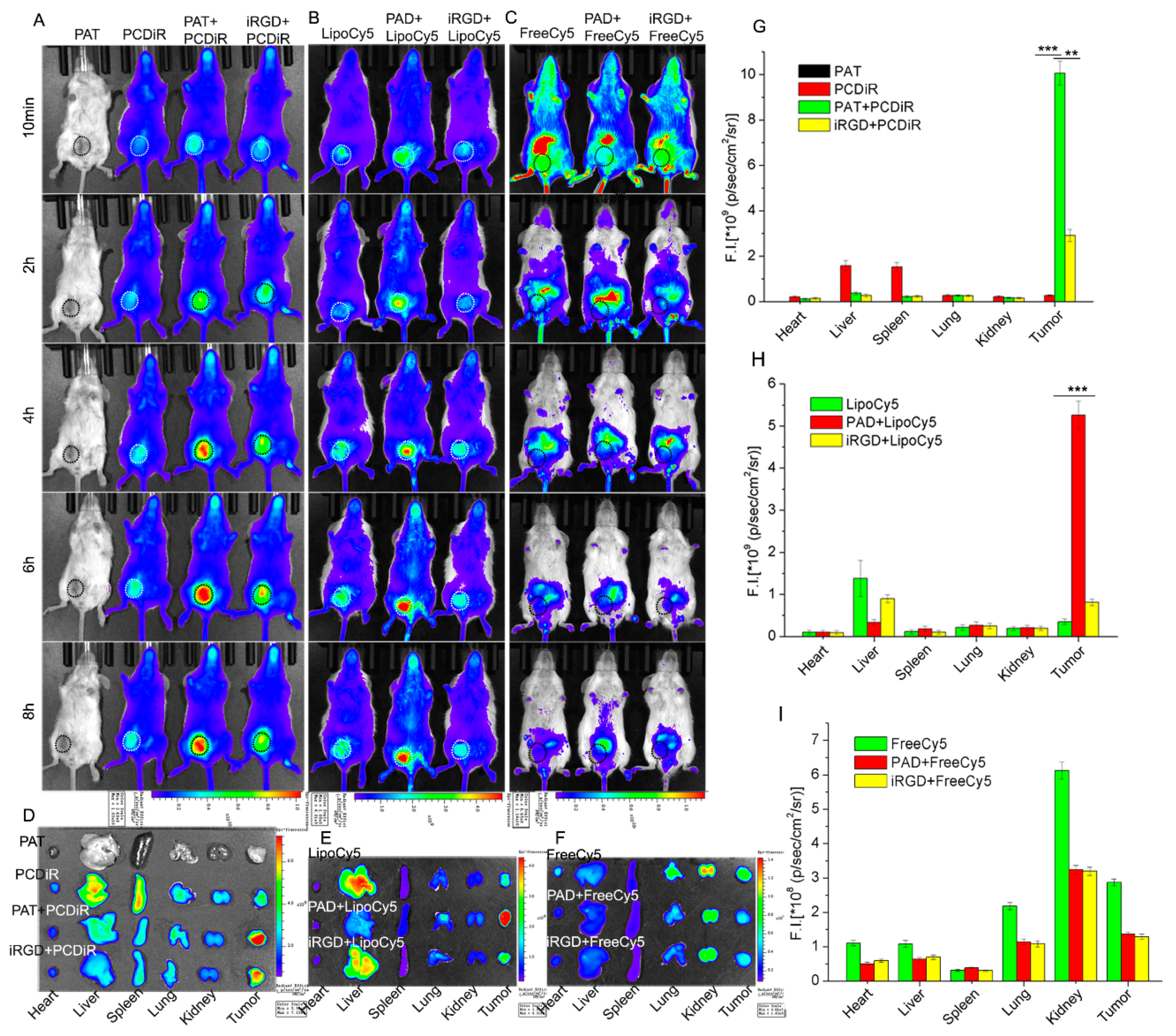 Biomolecules 09 00172 g001