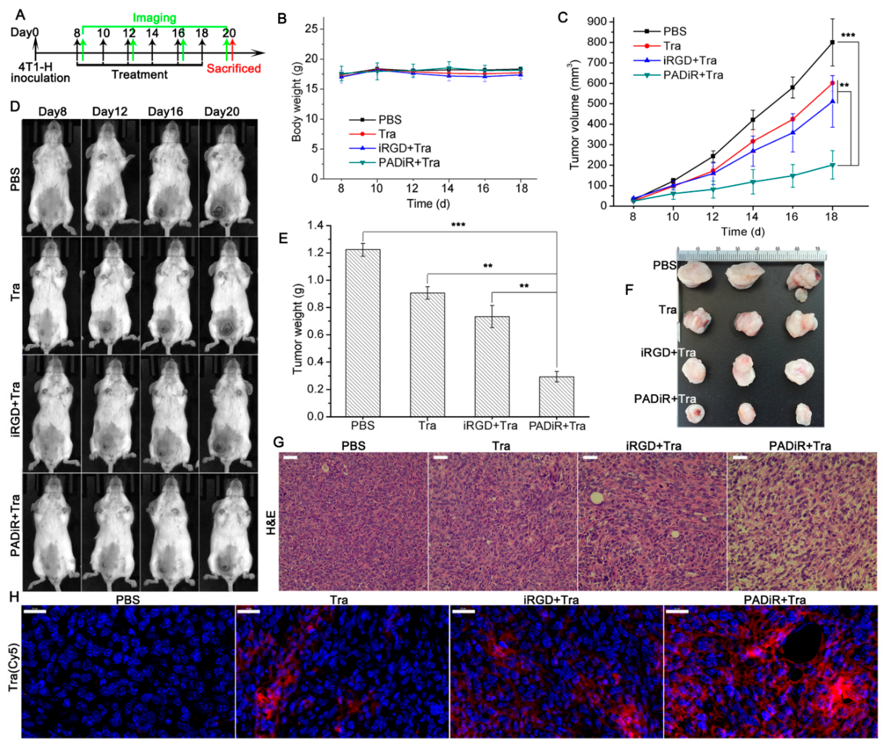 Biomolecules 09 00172 g004