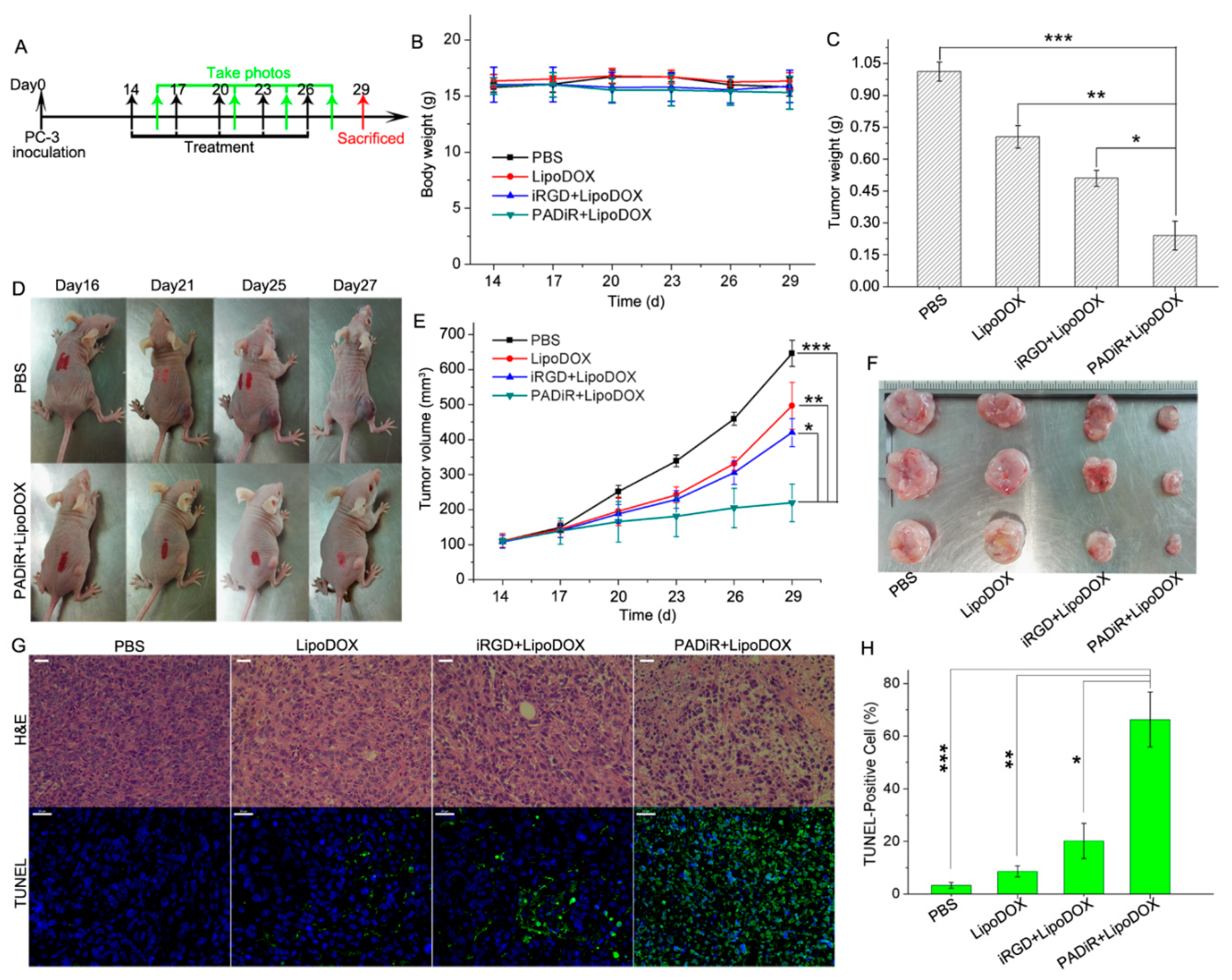 Biomolecules 09 00172 g005