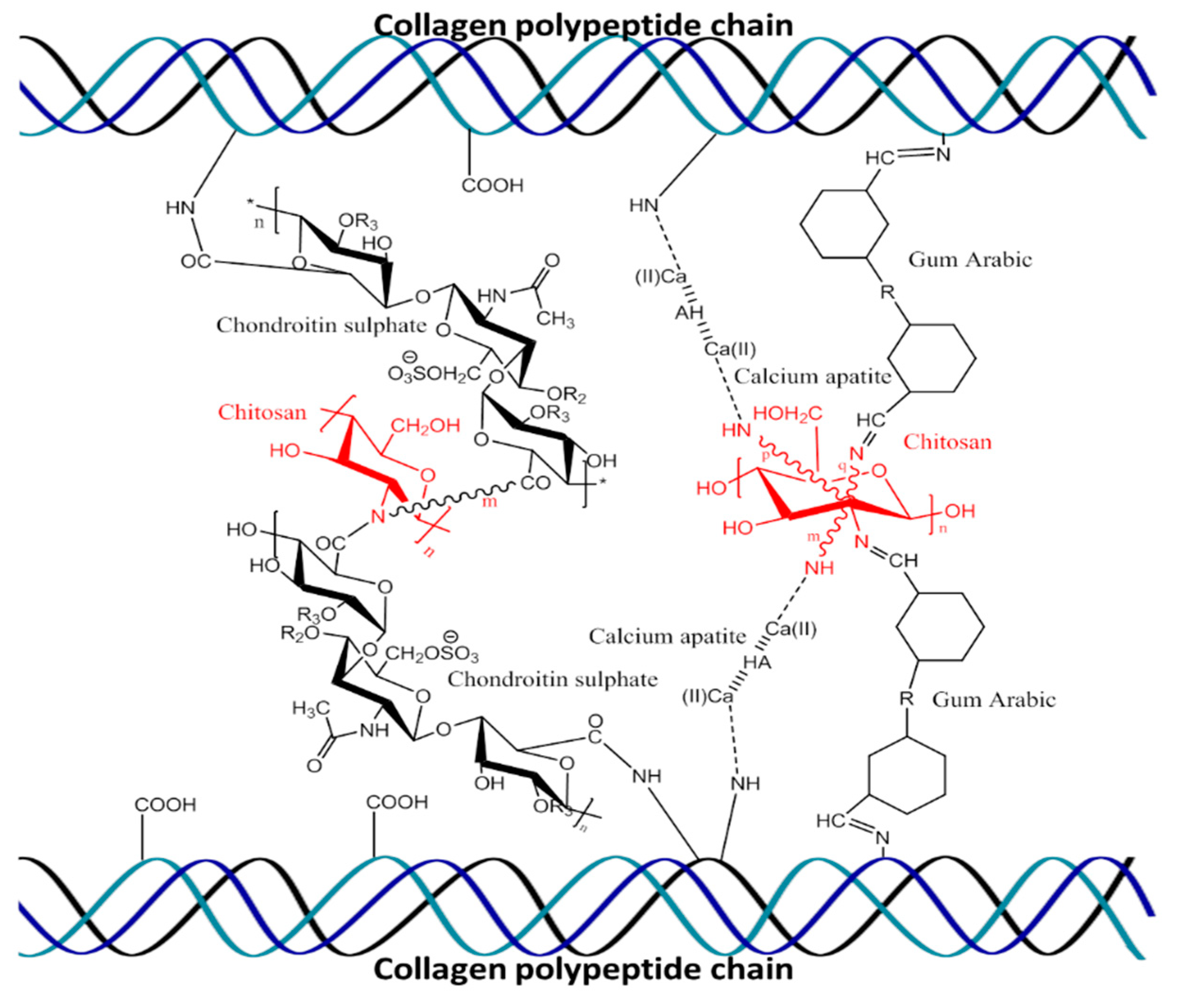 Biomolecules 09 00173 g001
