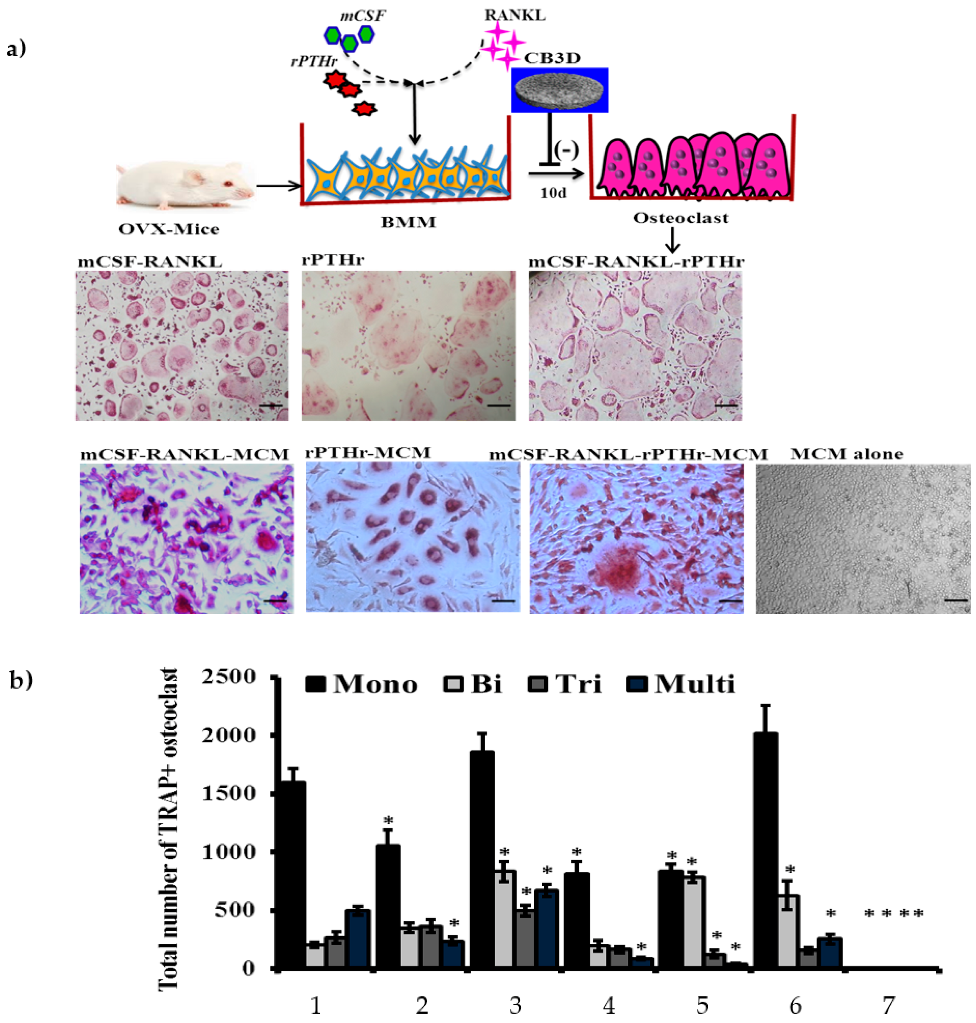 Biomolecules 09 00173 g009
