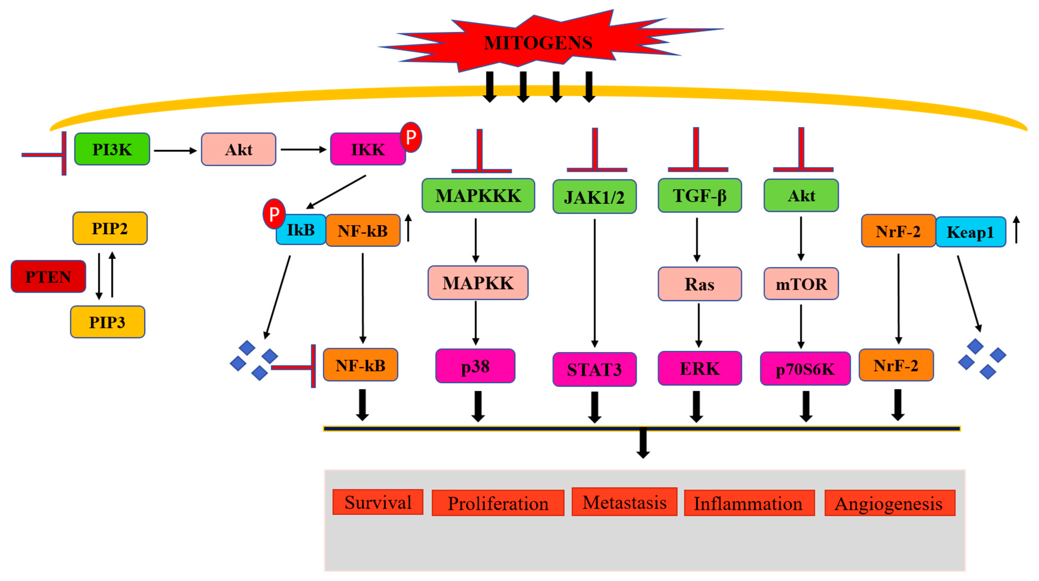 Biomolecules 09 00174 g002