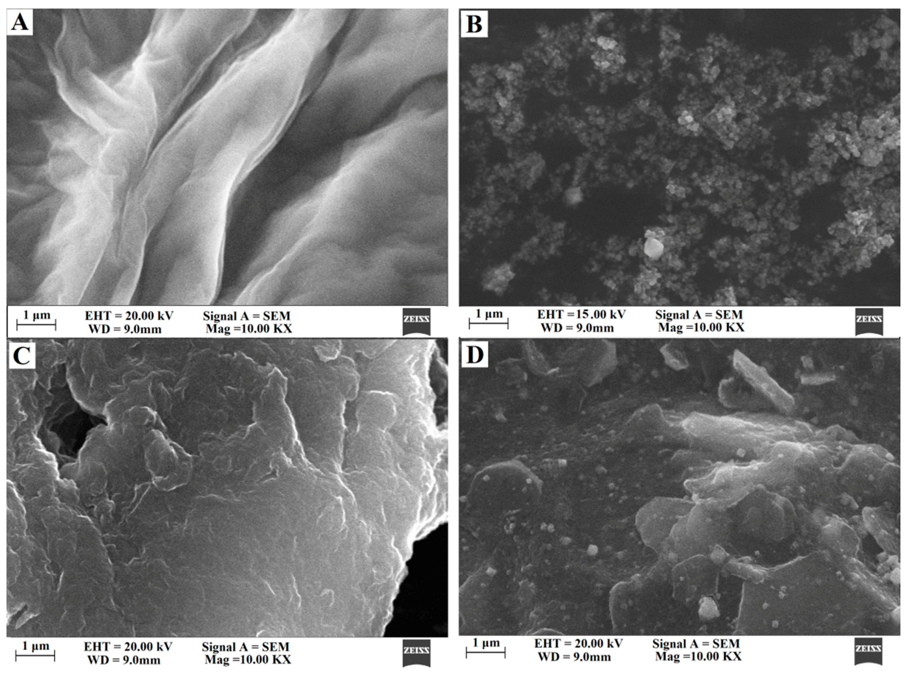 Biomolecules 09 00176 g002