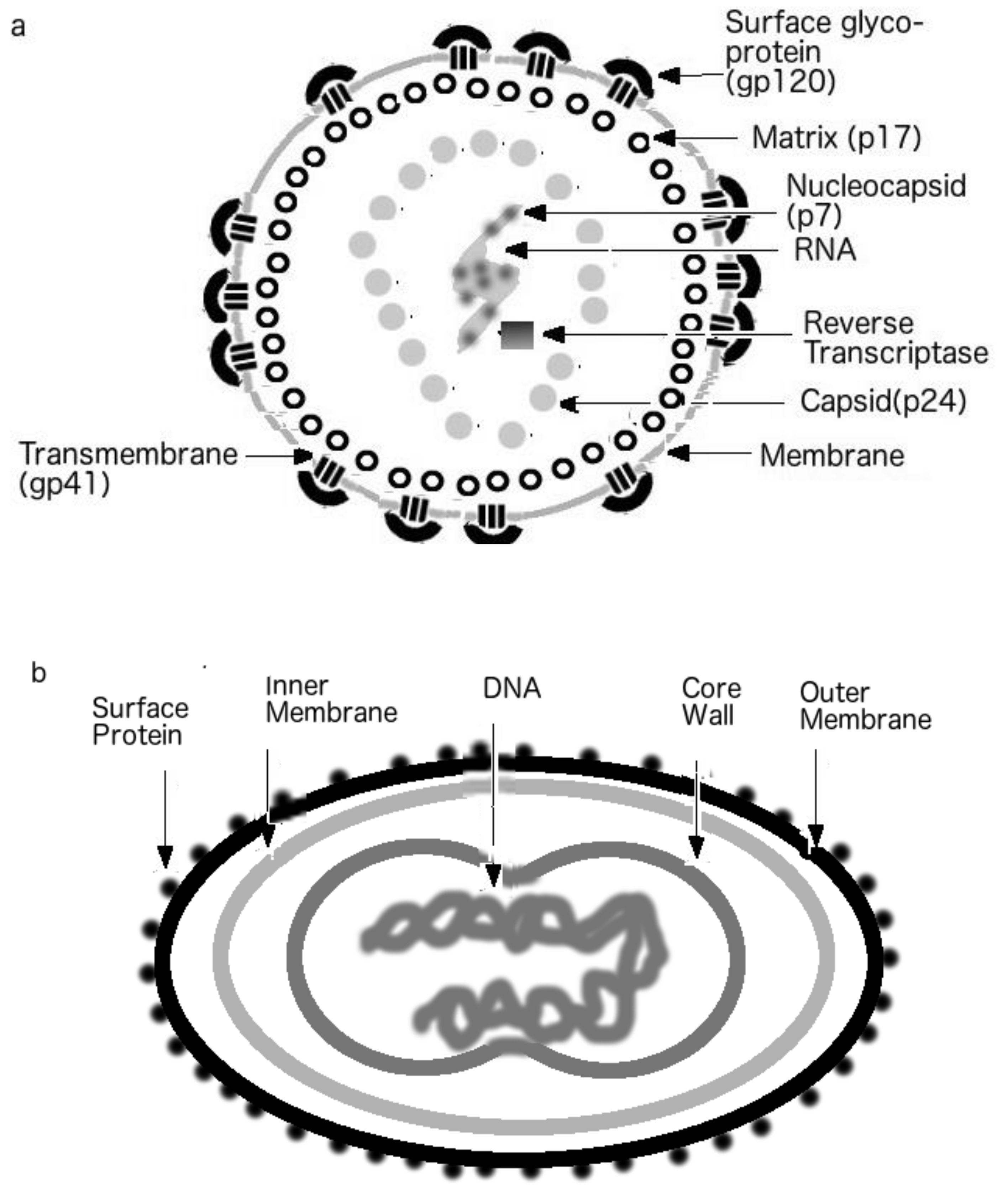 Biomolecules 09 00178 g001a