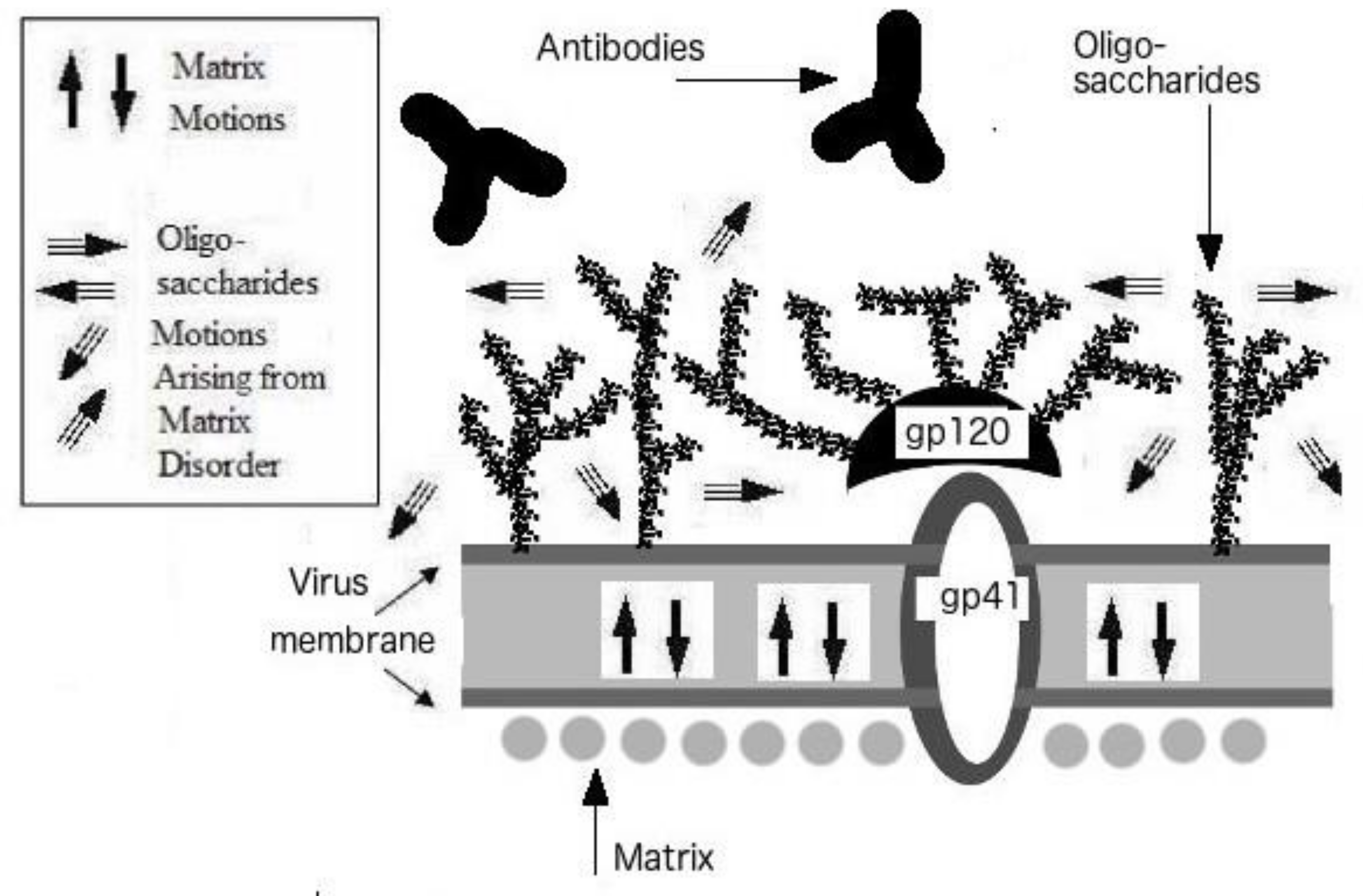 Biomolecules 09 00178 g004