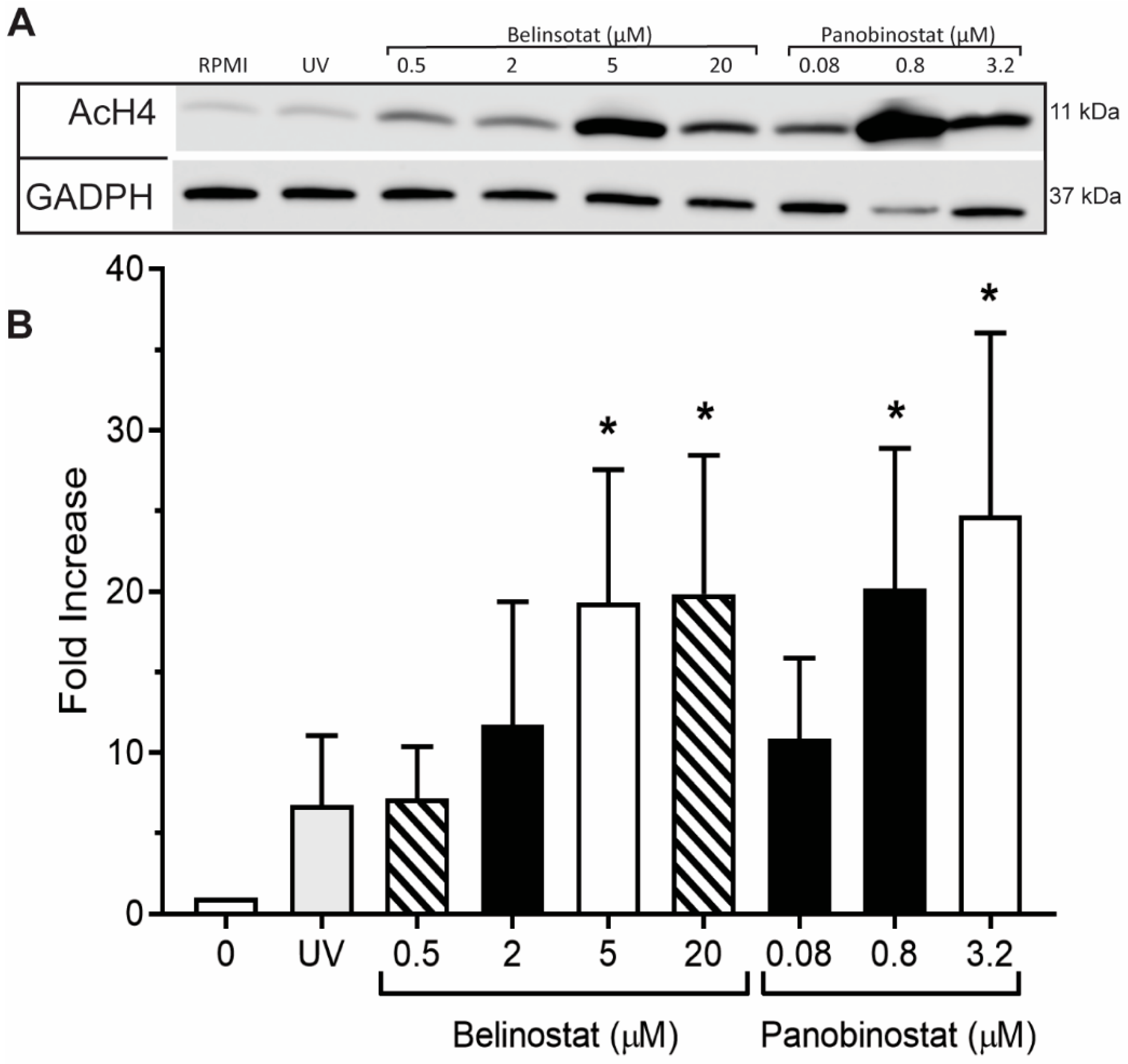 Biomolecules 09 00184 g002