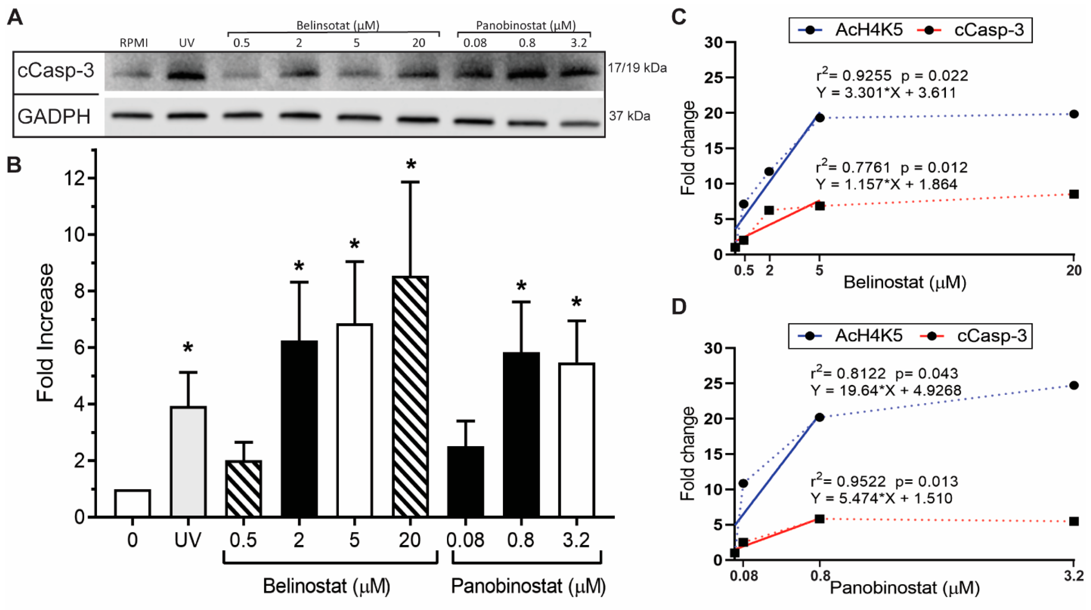 Biomolecules 09 00184 g006