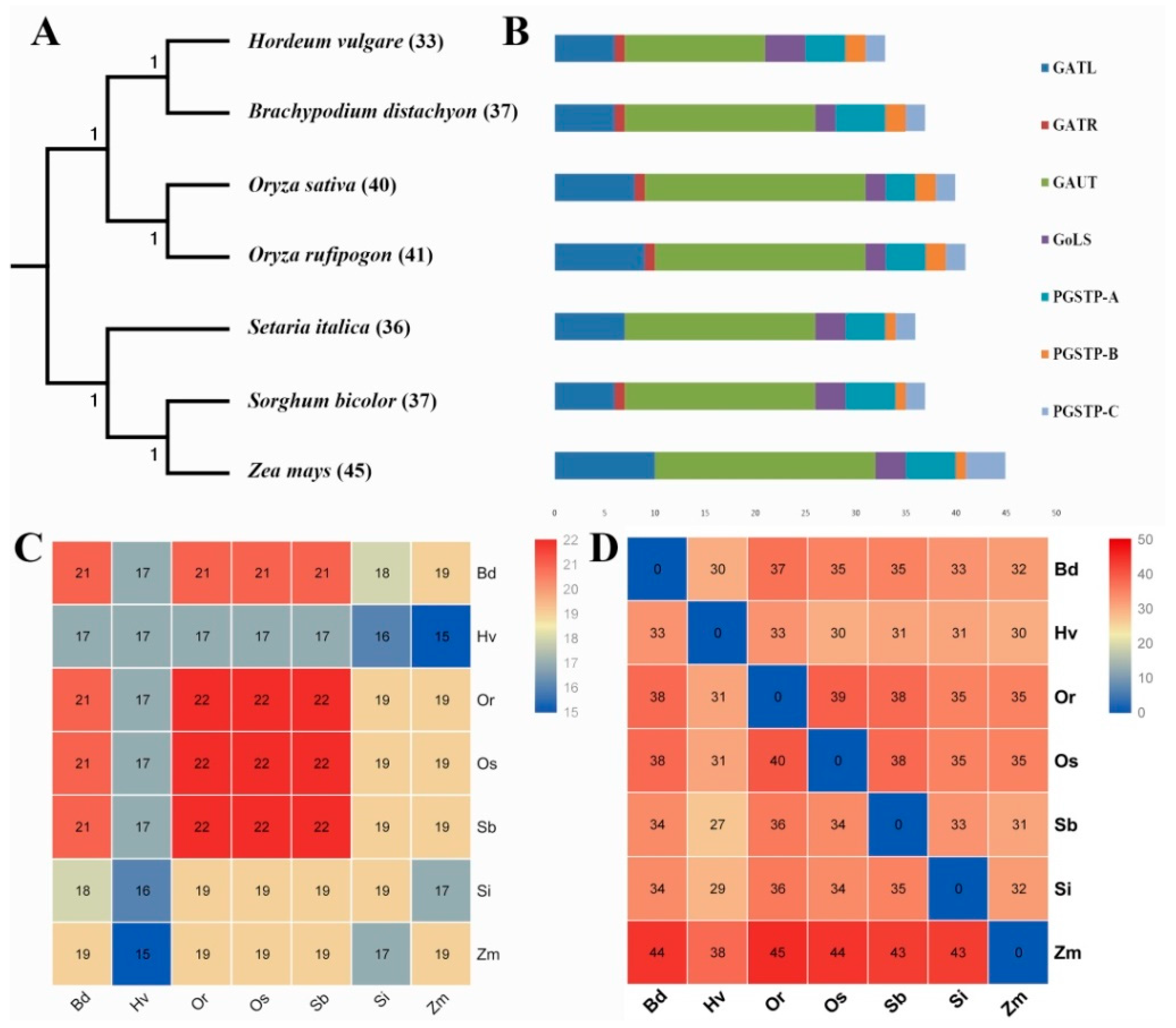 Biomolecules 09 00188 g002 Biomolecules 09 00188 g002